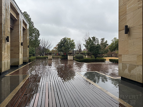 烟雨朦胧严西湖——武汉光谷希尔顿酒店