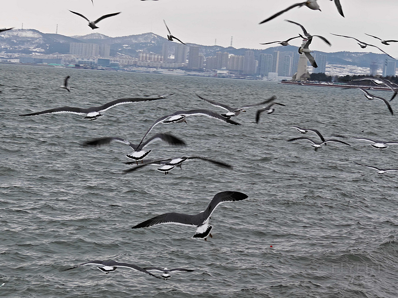 100704TjN3FW014Ya9Fnzz.jpg 100704TjN3FW014Ya9Fnzz.jpg