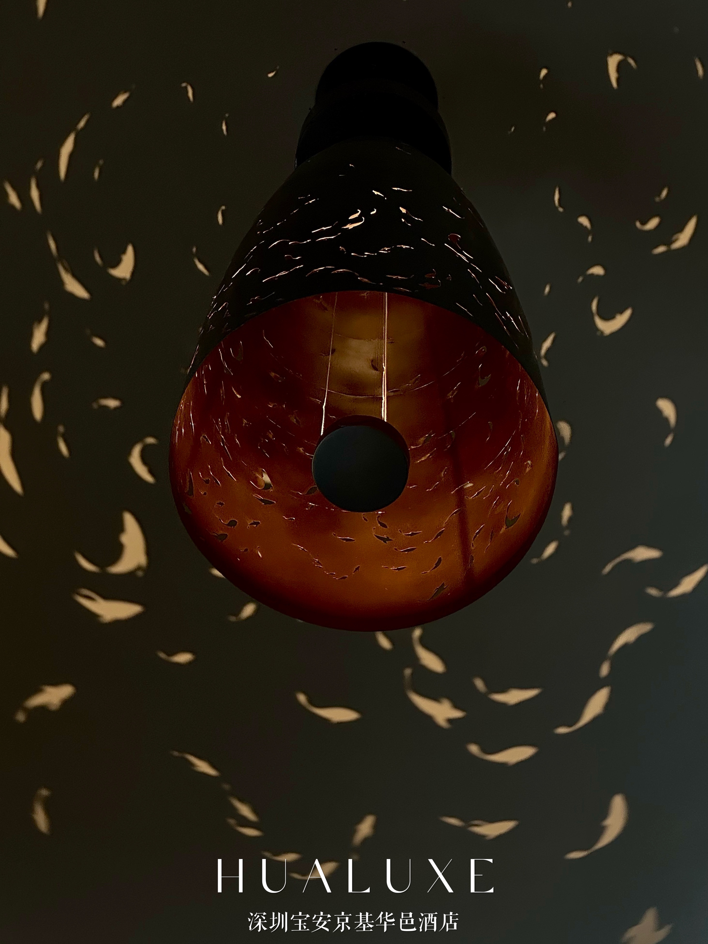һҹ
HUALUXE ڱؾƵ
ס