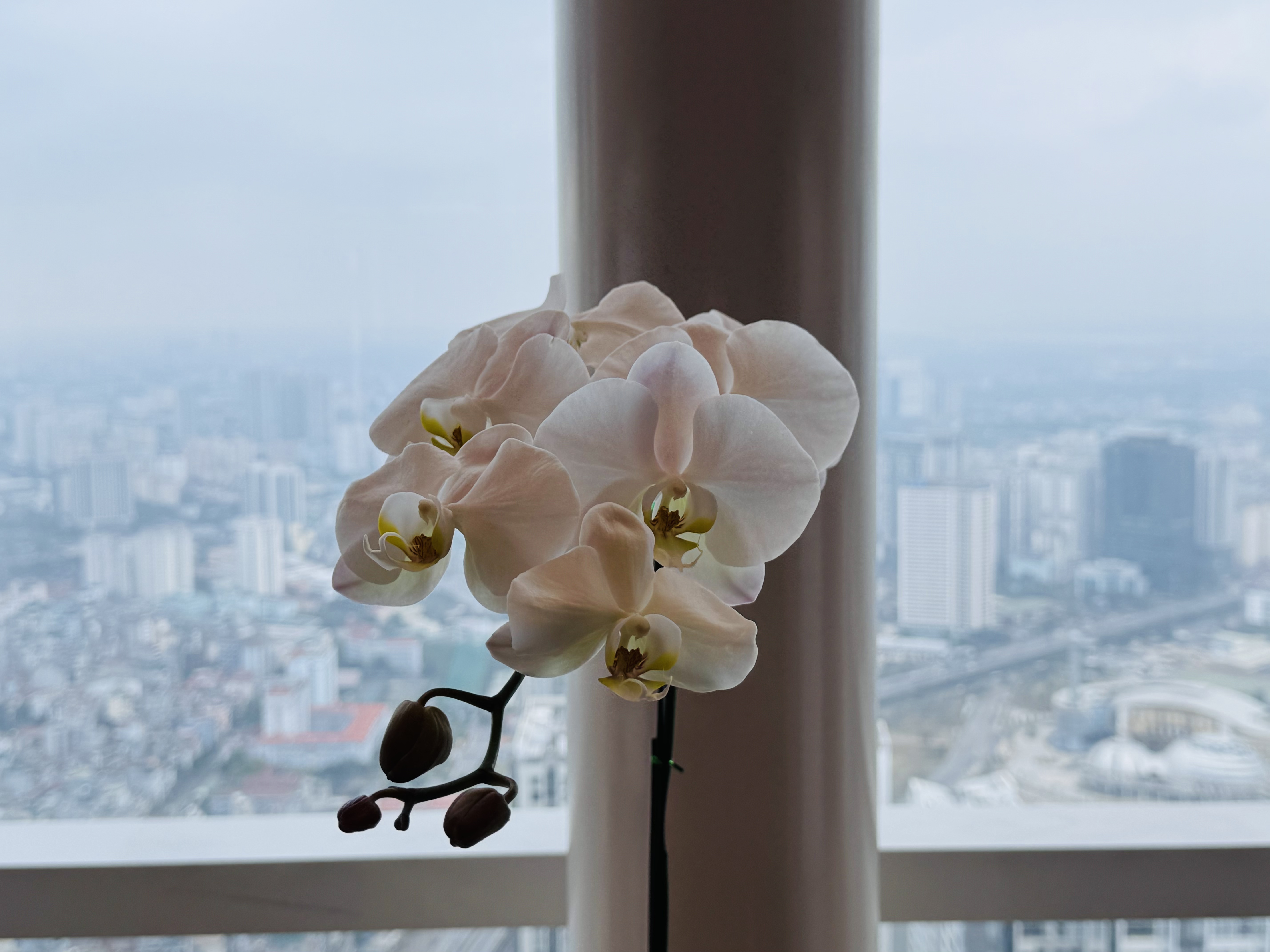 ں߽-ڵر72޼ʾƵ긩ȫԽϴͳĻִݻײ