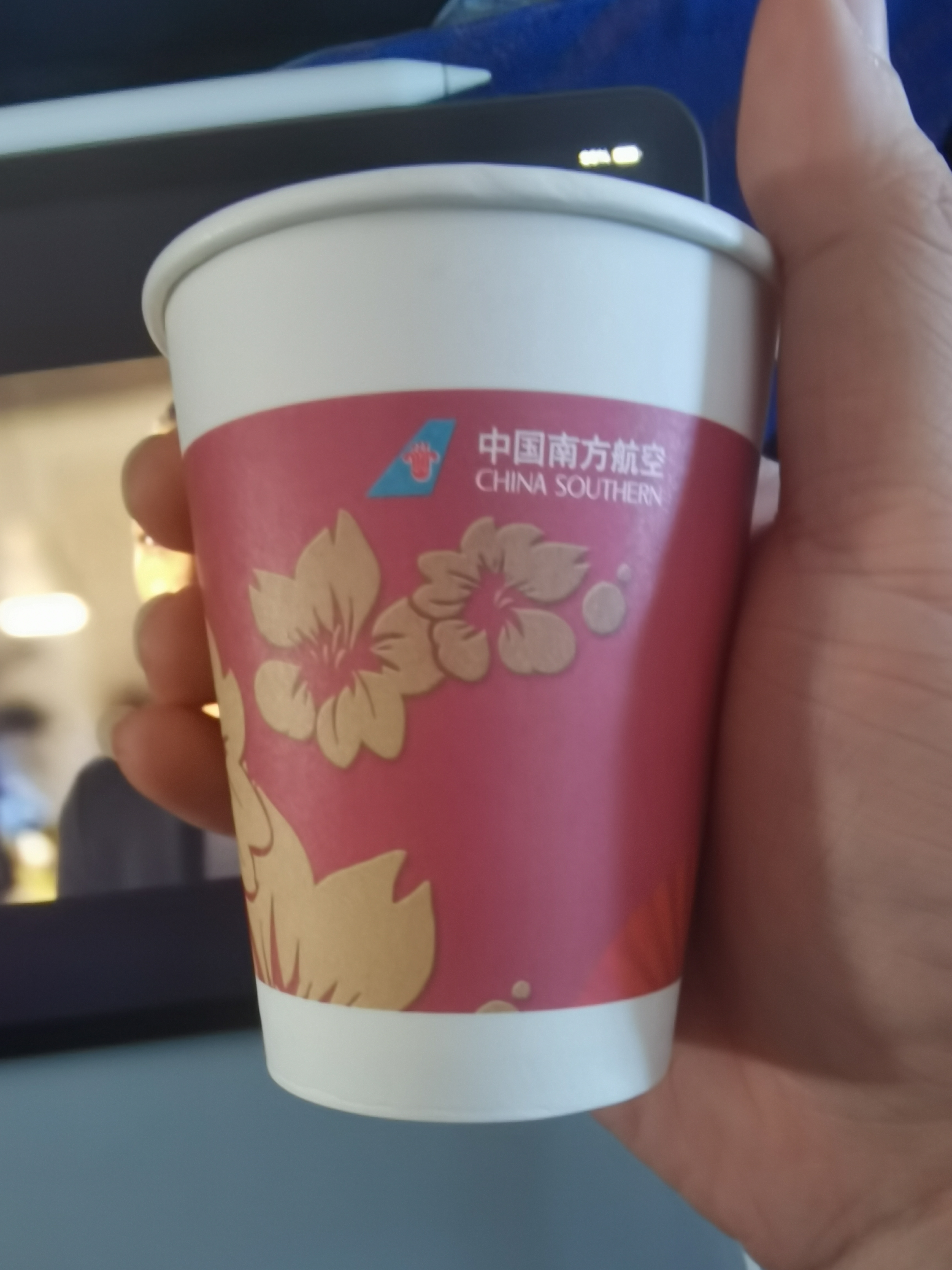 ʢ CZ5313-麣б