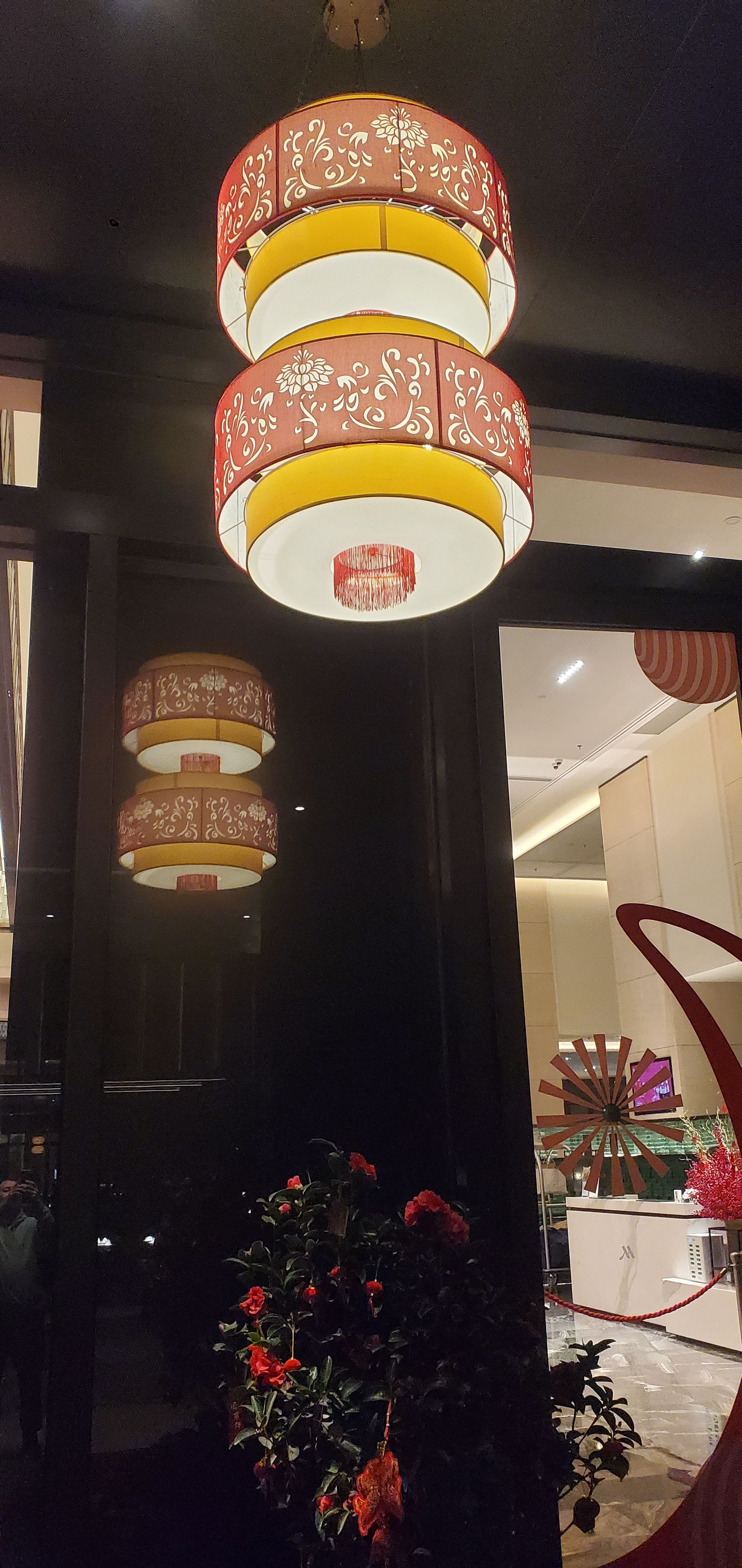 ļ䡫ݰƹʻԽƵ