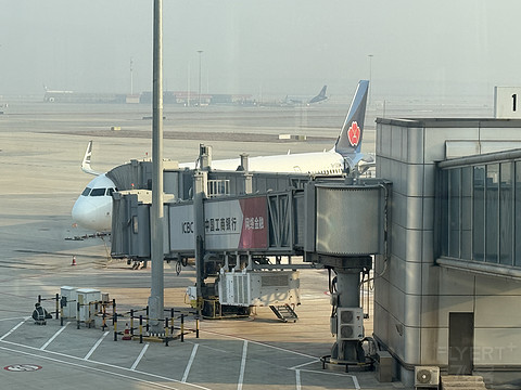 青鸟高飞-第一次乘坐青岛航空-打卡青岛航空成都-青岛-吉隆坡QW9772-QW9893航班