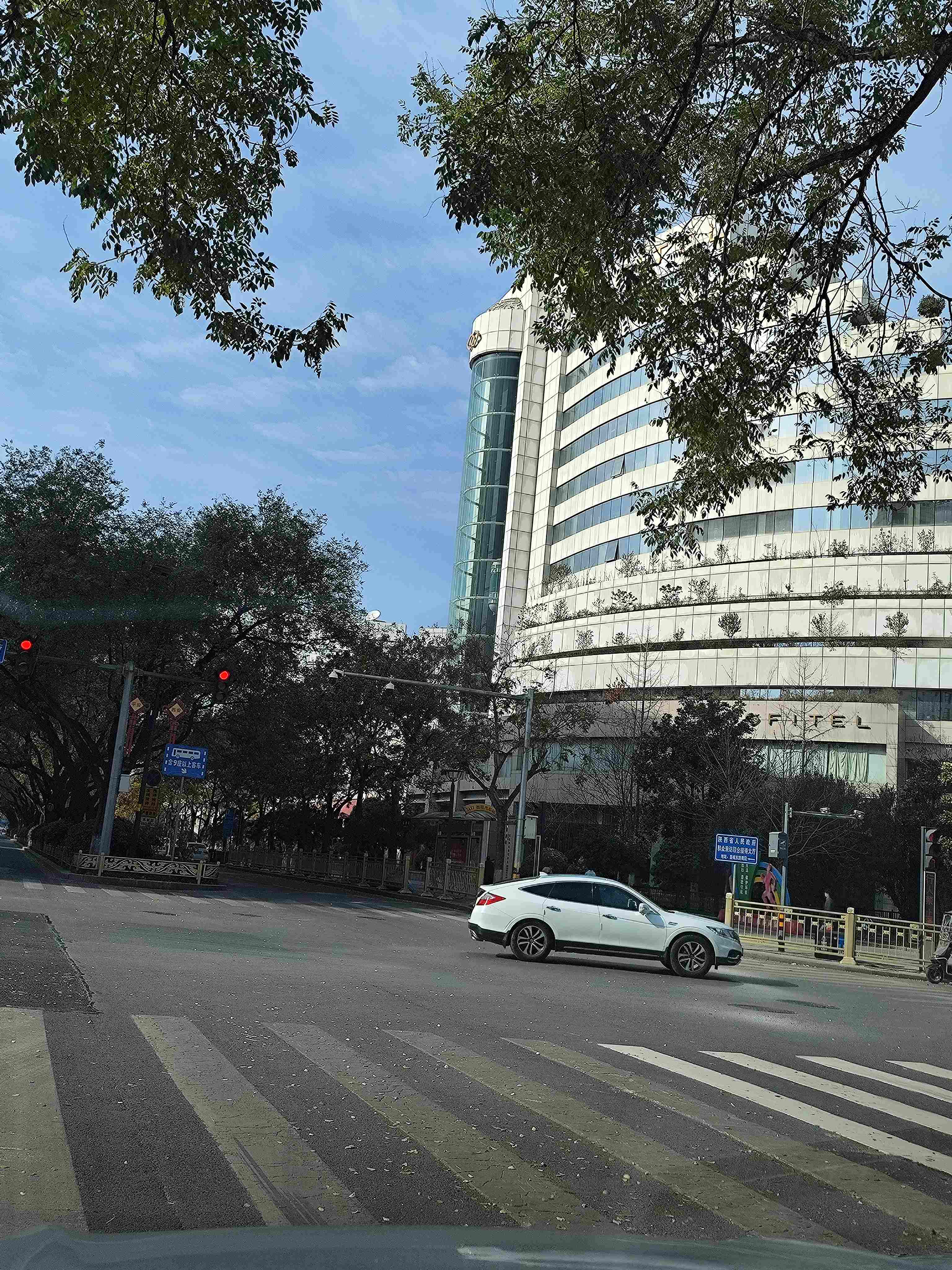 ״鷨ʽ-׷ס