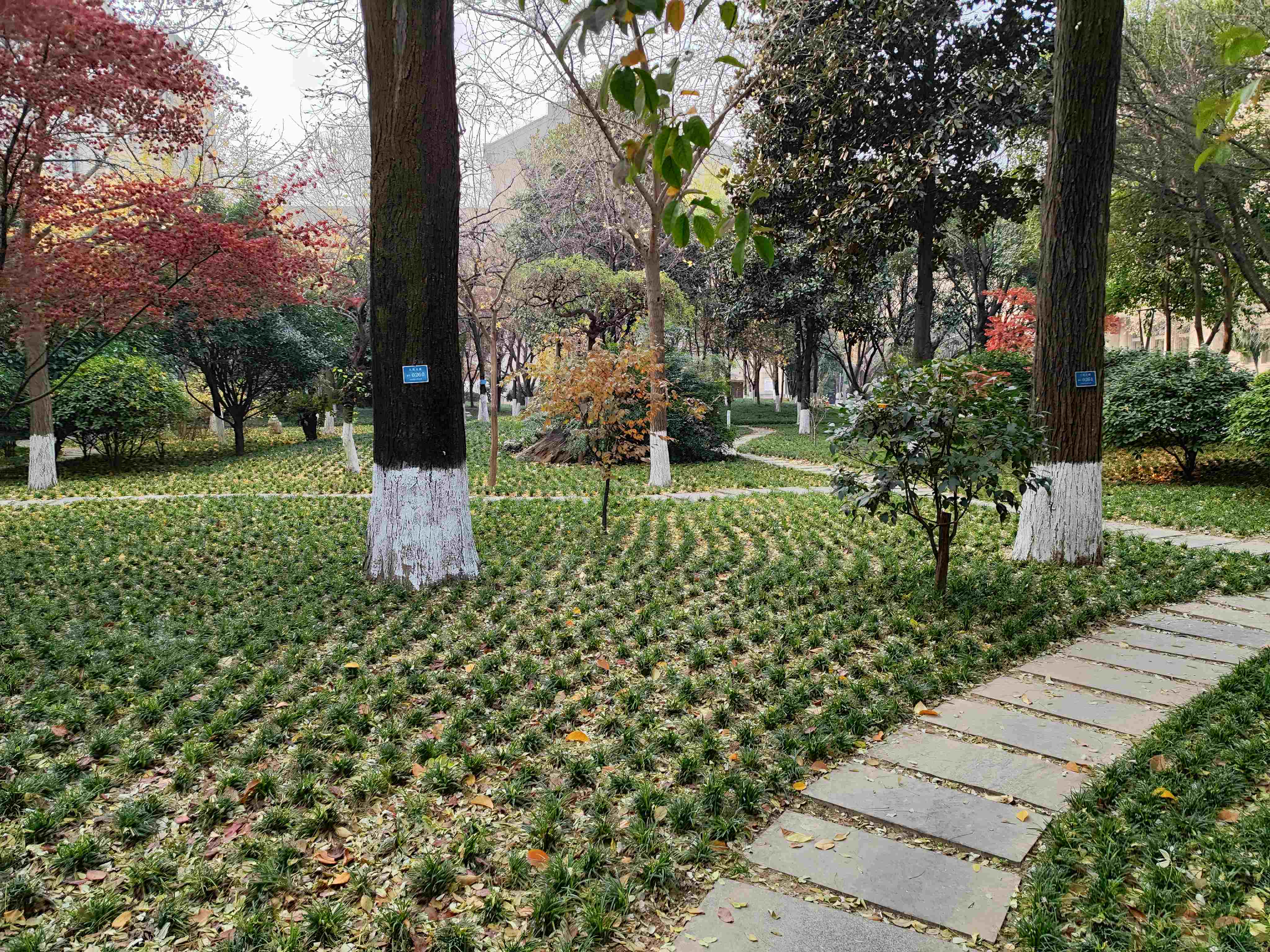 ݻ飺йΨһشƵ|׷ 200+ͼƬ⣡