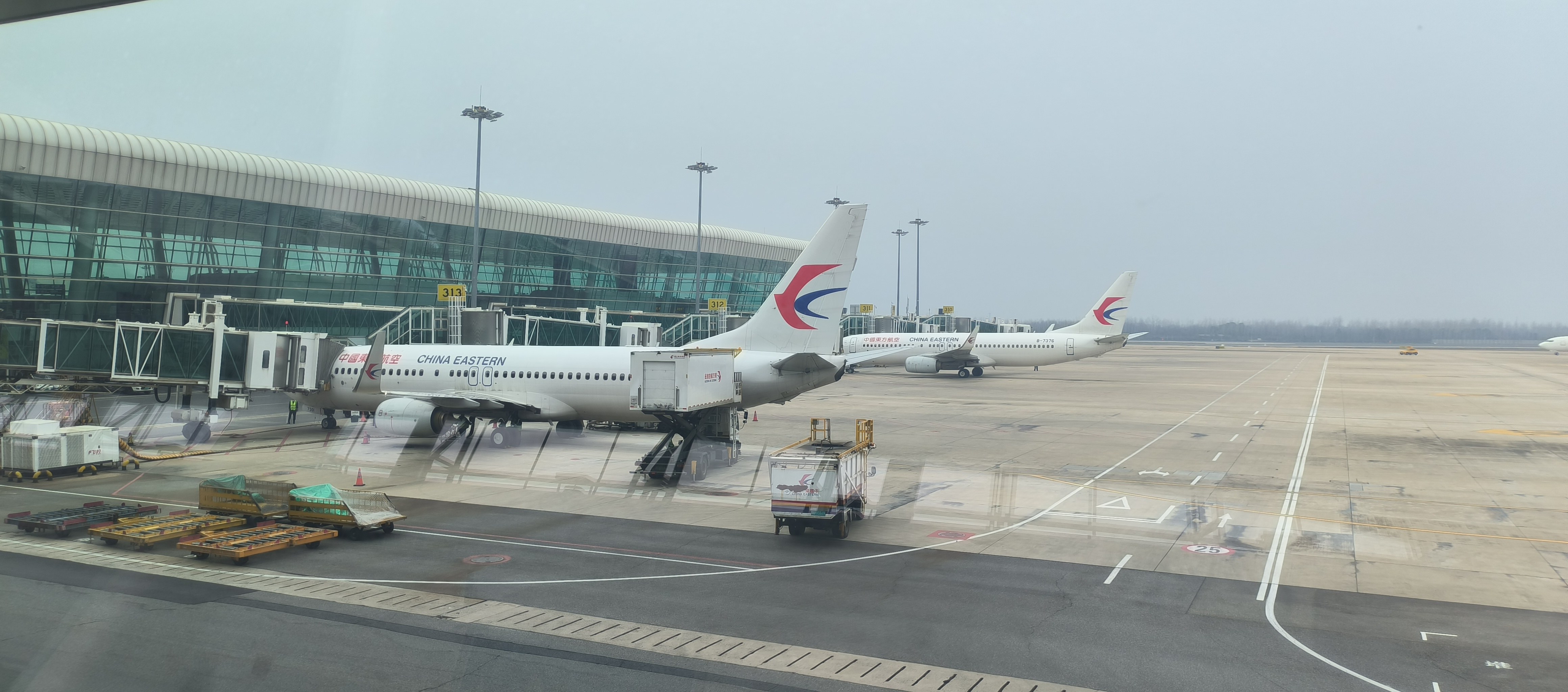 21ɵƻ ߰ٷ ͣϤ顿MU2453