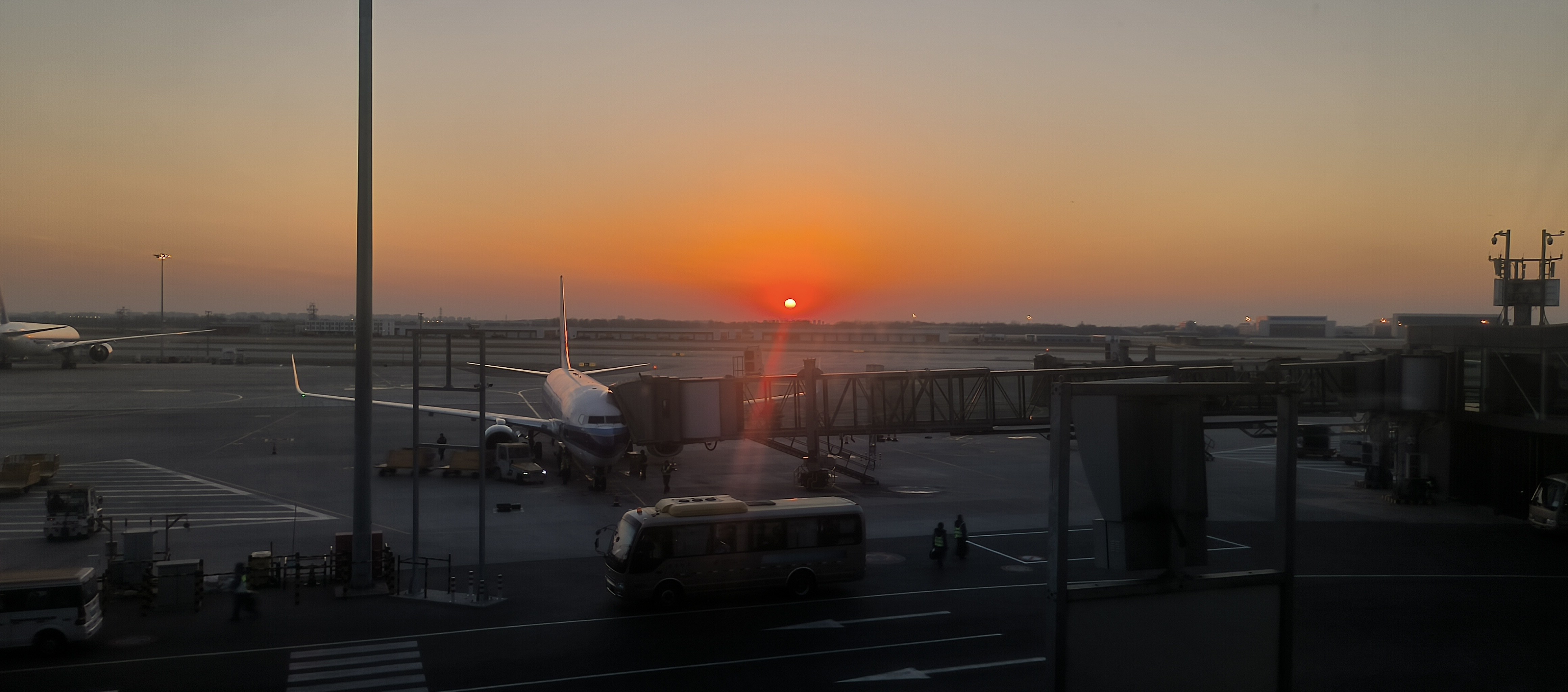 21ɵƻ ߰ٷ ͣϤ顿MU2453
