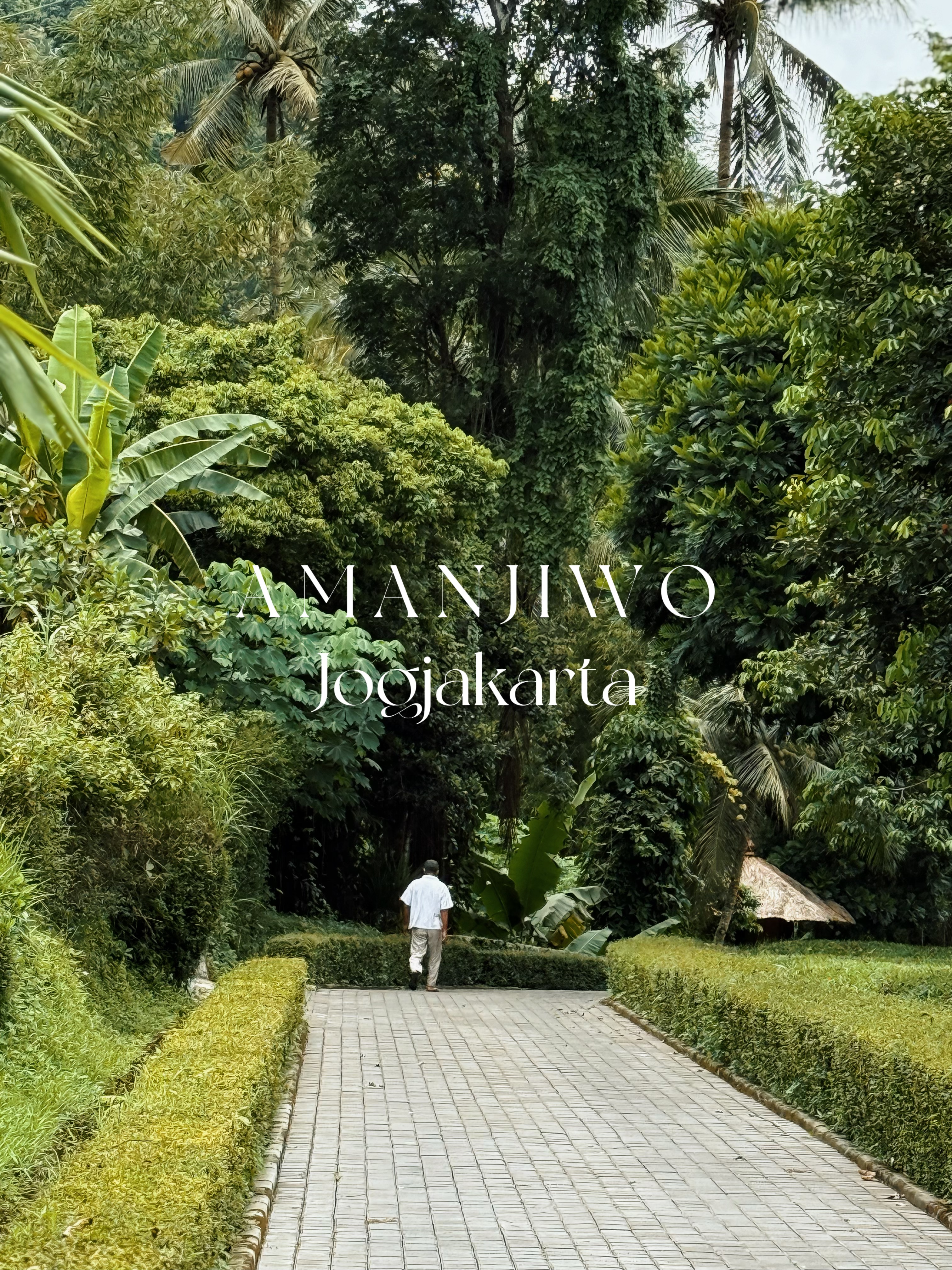AMANJIWO 🇮🇩