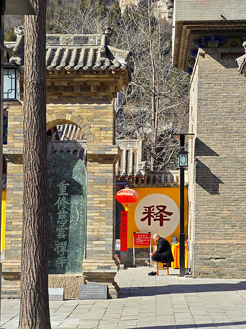 当我在上街刷房时，我用郑开年票打卡了哪些国保？