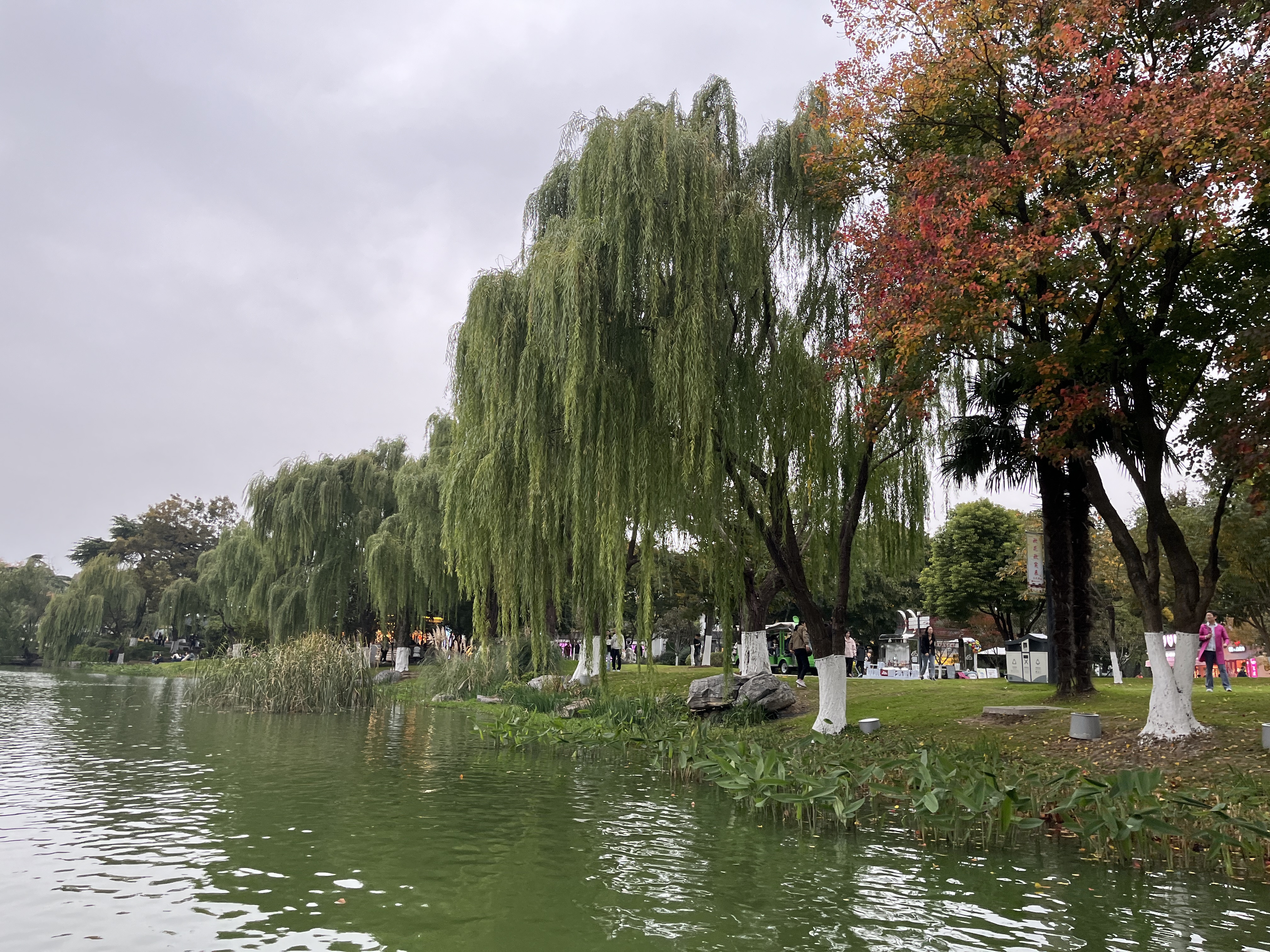 C3067 -  / Ͼ˼ Nanjing Ritz-Carlton