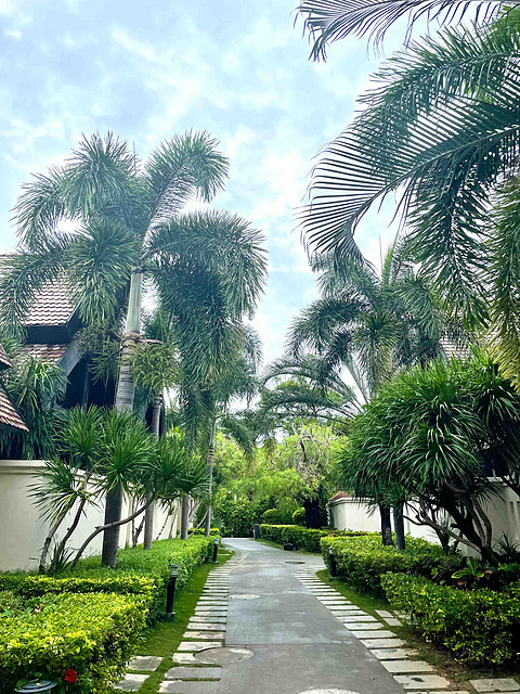 🌴 三亚亚龙湾铂尔曼别墅度假酒店，缅甸别墅入住体验