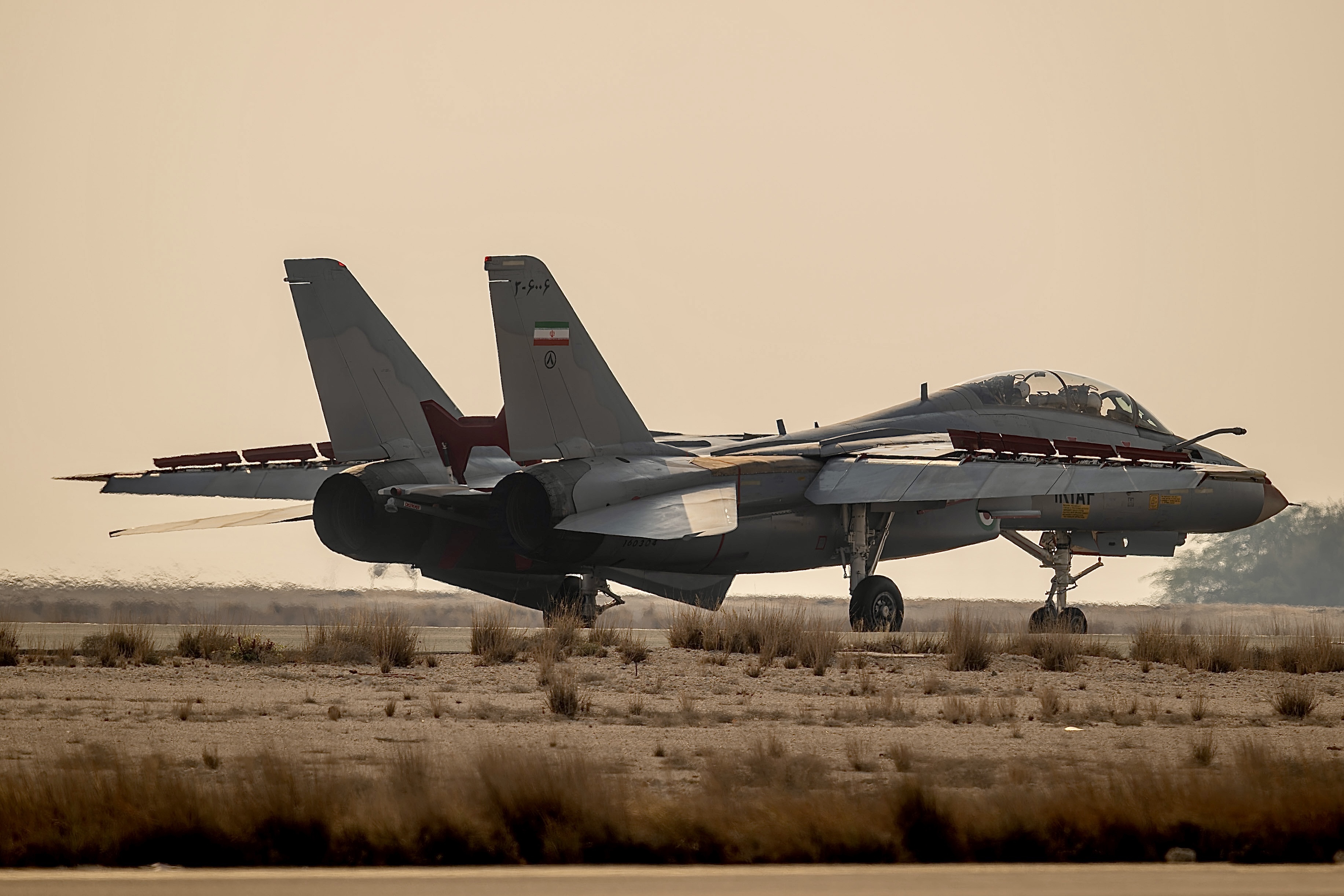 еĻʯF-14˹èMD-82