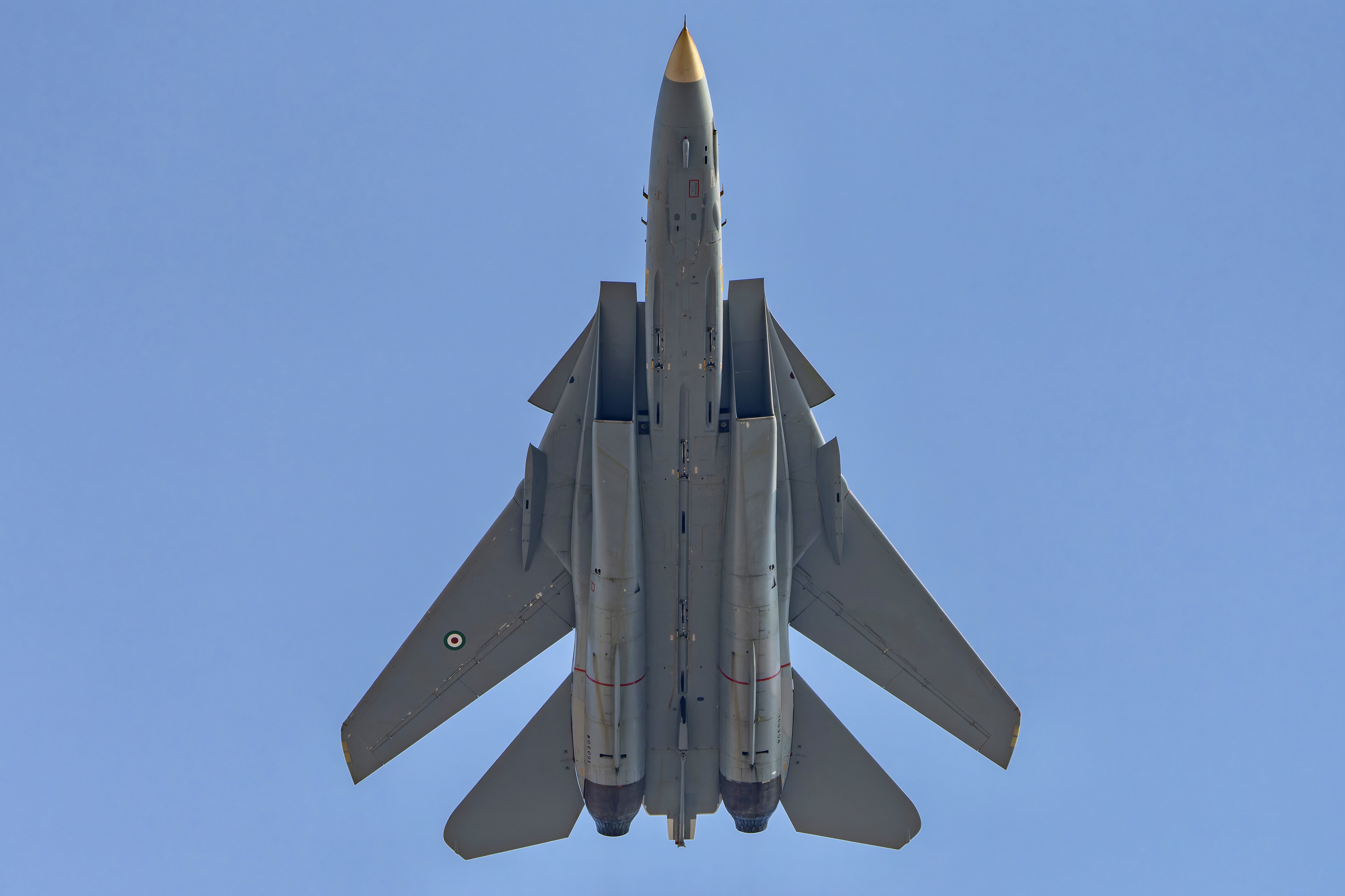 еĻʯF-14˹èMD-82