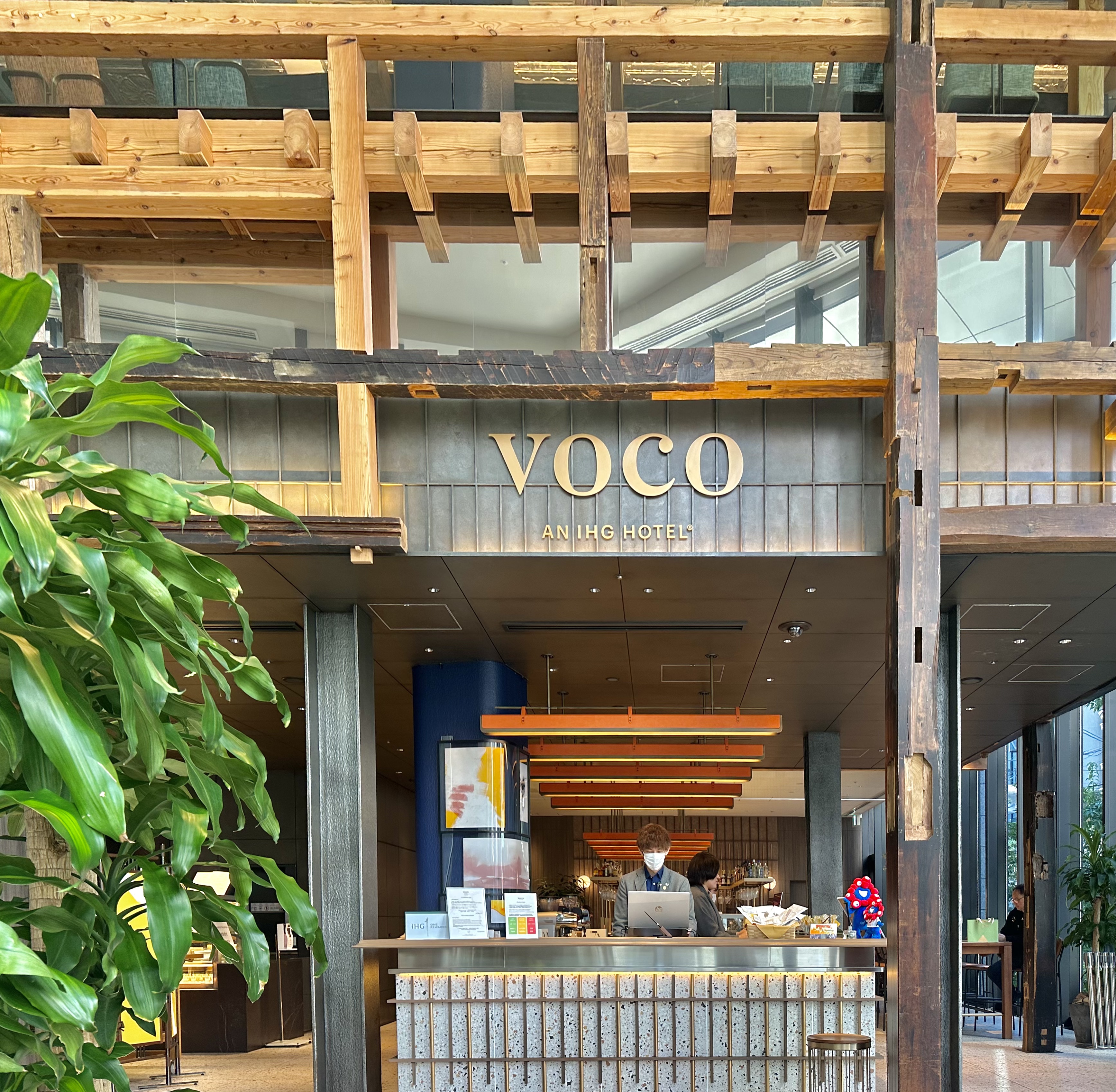 voco 2 twin grandʽС