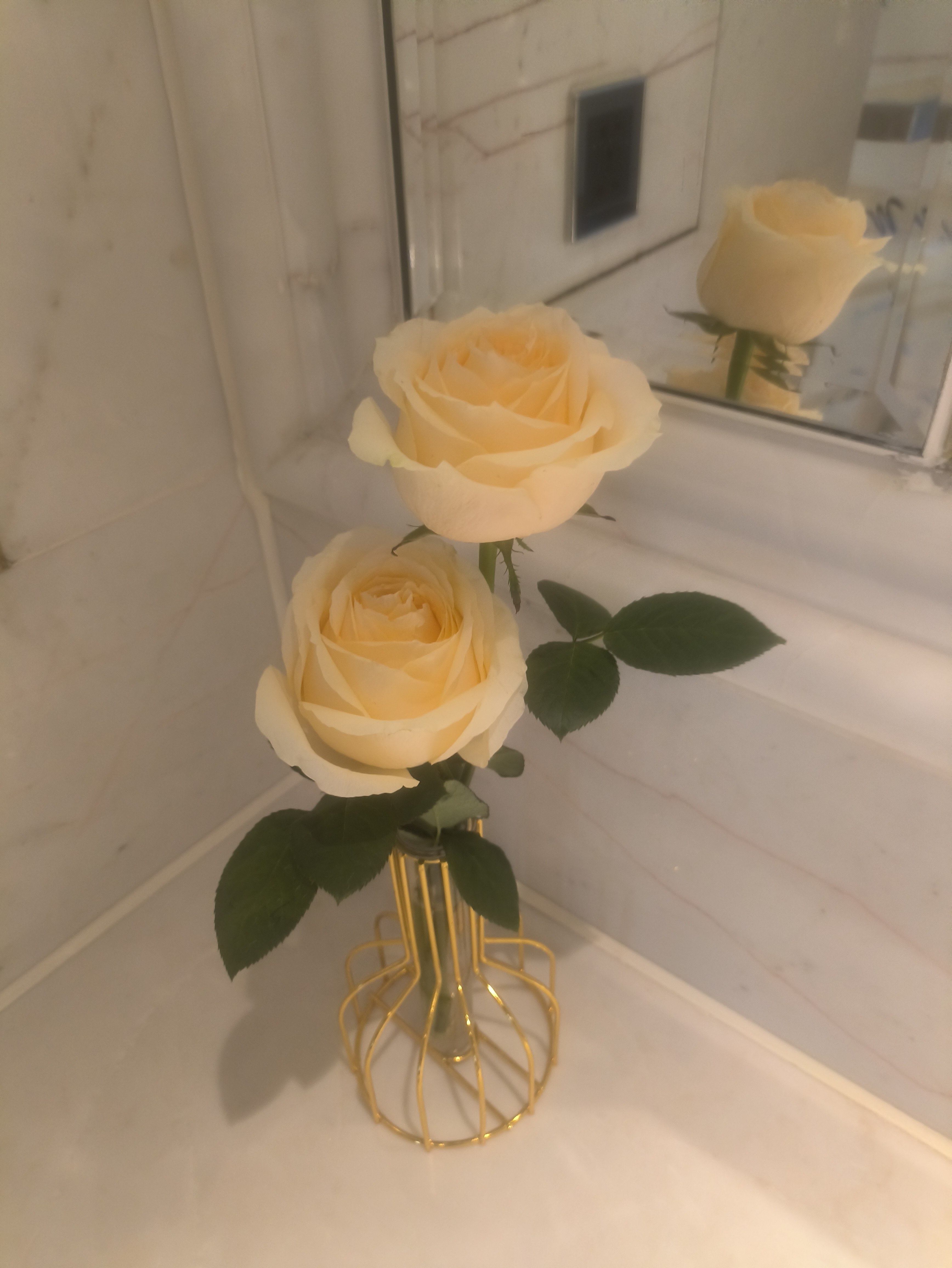 ۣ֮ɡǹؾƵ껪׷