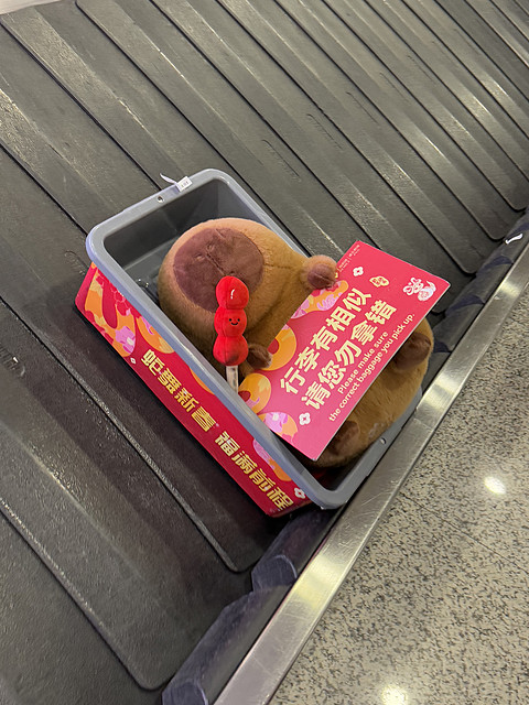 塞翁失马的春节土耳其航空经济舱（IST-PVG）体验