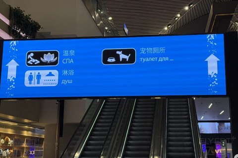 塞翁失马的春节土耳其航空经济舱（IST-PVG）体验