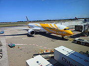 Ϻ#CZ3096/TPE-<em>PVG</em>