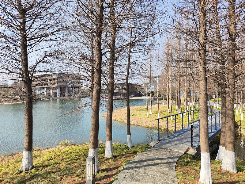 172214k2WIuIHD1CBTnCls.jpg