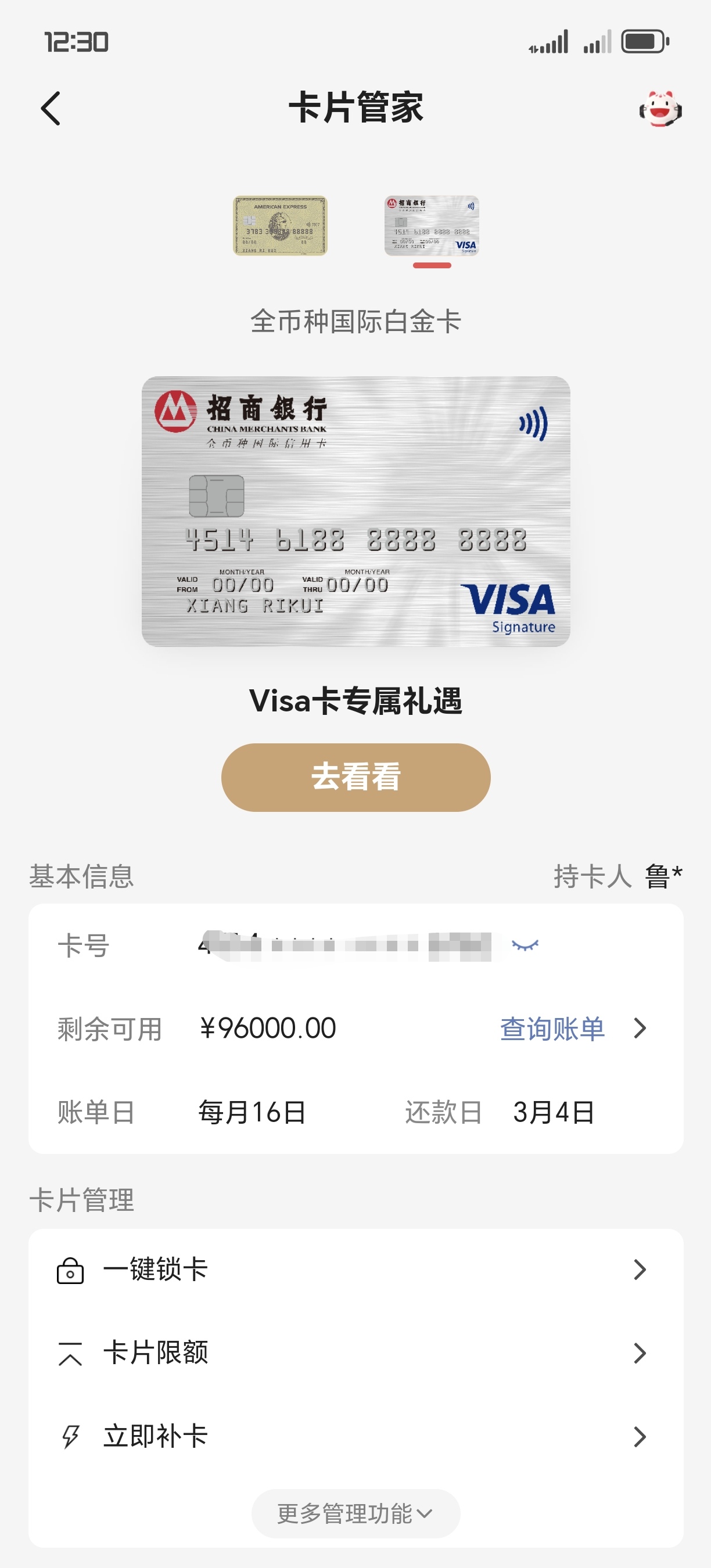 Visa´ĿӦôˢ
