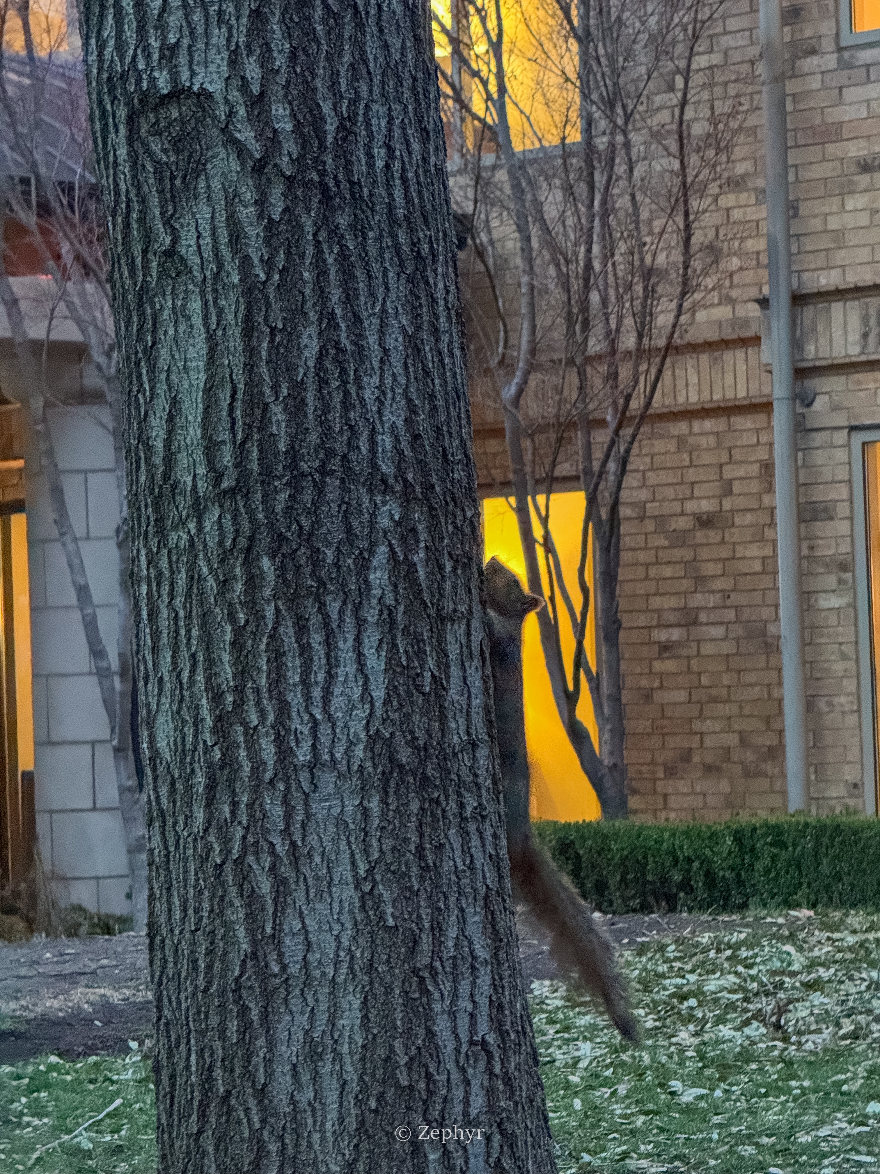 ļʨThe Ritz-Carlton Las Colinas Dallas˹߶˼ ׷
