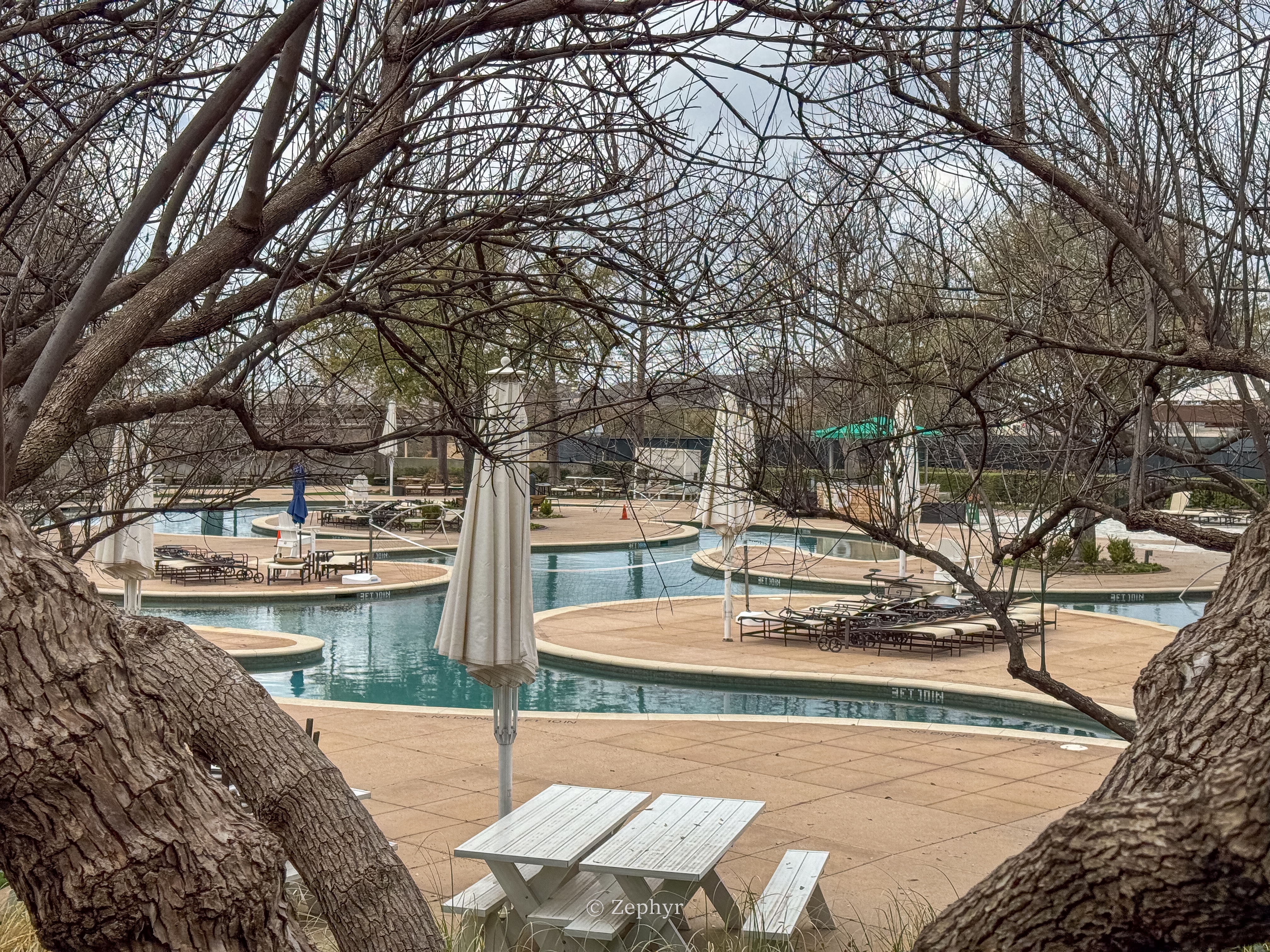 ļʨThe Ritz-Carlton Las Colinas Dallas˹߶˼ ׷