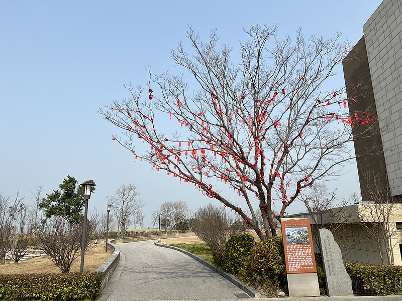 141105NOXNKXQHRRMLDEXZ.png