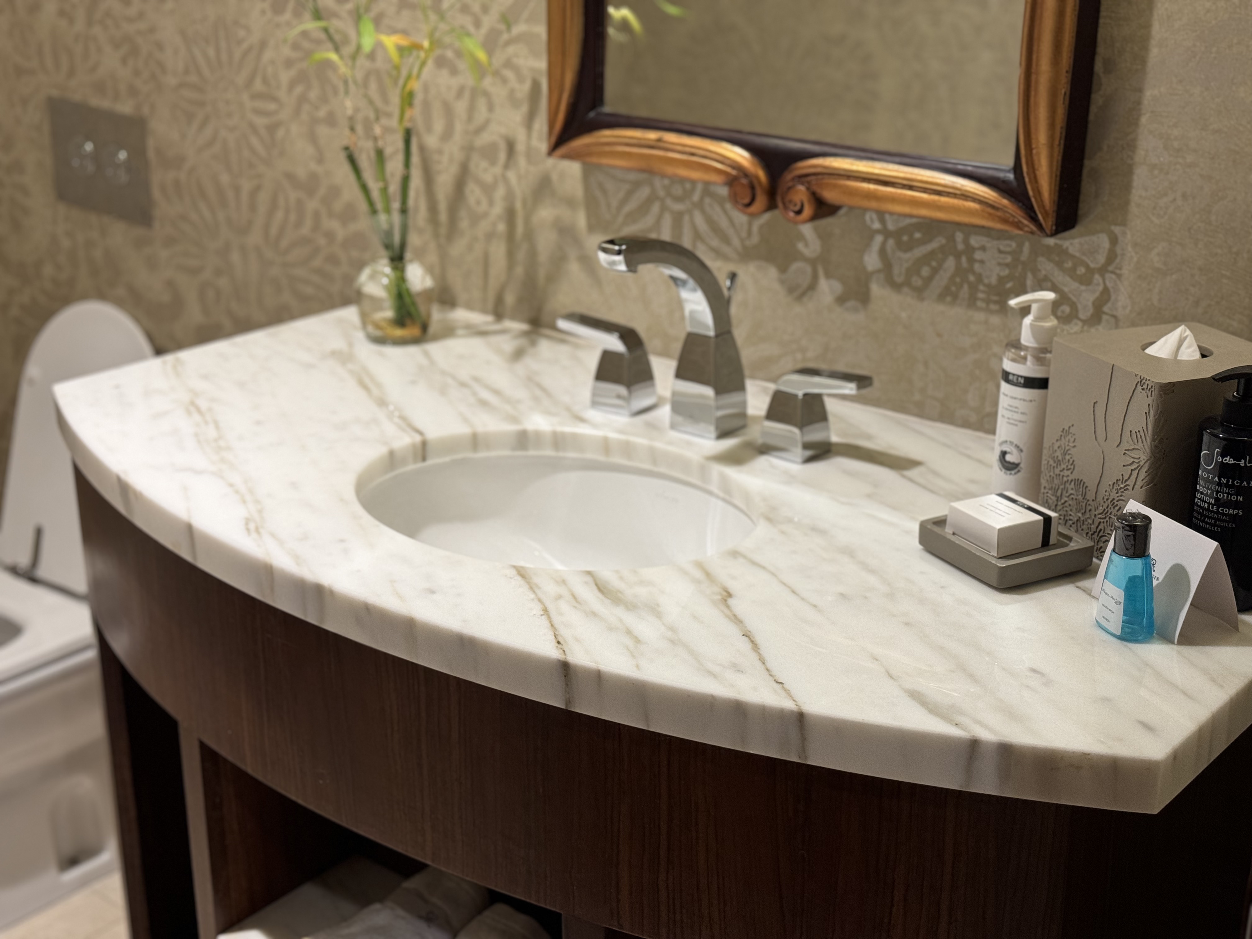 ¹¡𼪾Ƶꡤ𼪺Ӿ׷St. Regis Cairo