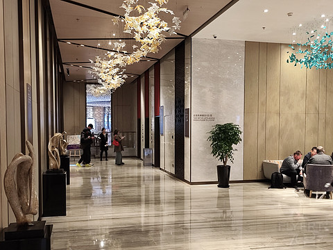 繁城雅趣｜上海康莱德酒店入住体验