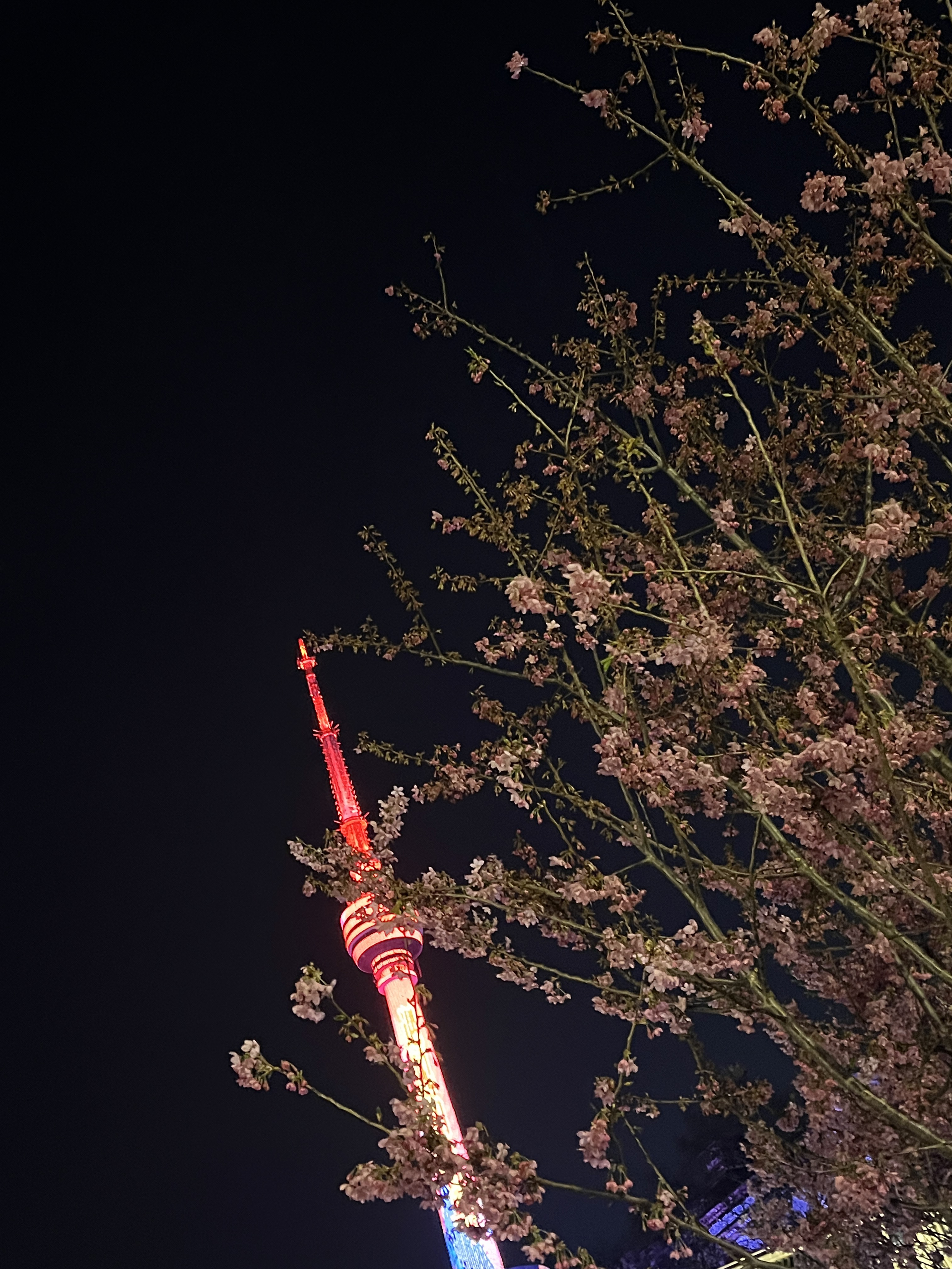人紨գĩ˳