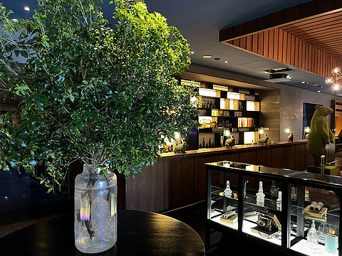 【郑州建业艾美酒店】艺术与奢华的交融，洋溢着摩登与畅想