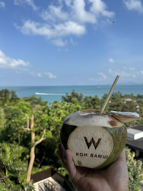 泰国苏梅岛w｜不及预期的网红鼻祖酒店，海滨天堂别墅分享