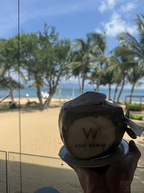 泰国苏梅岛w｜不及预期的网红鼻祖酒店，海滨天堂别墅分享
