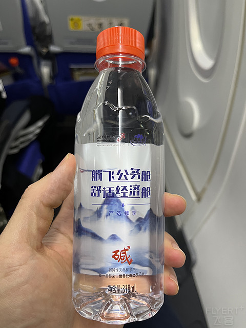 ZH9333南宁武汉｜兜兜转转，终能相伴，与深航大猩猩的美妙奇缘