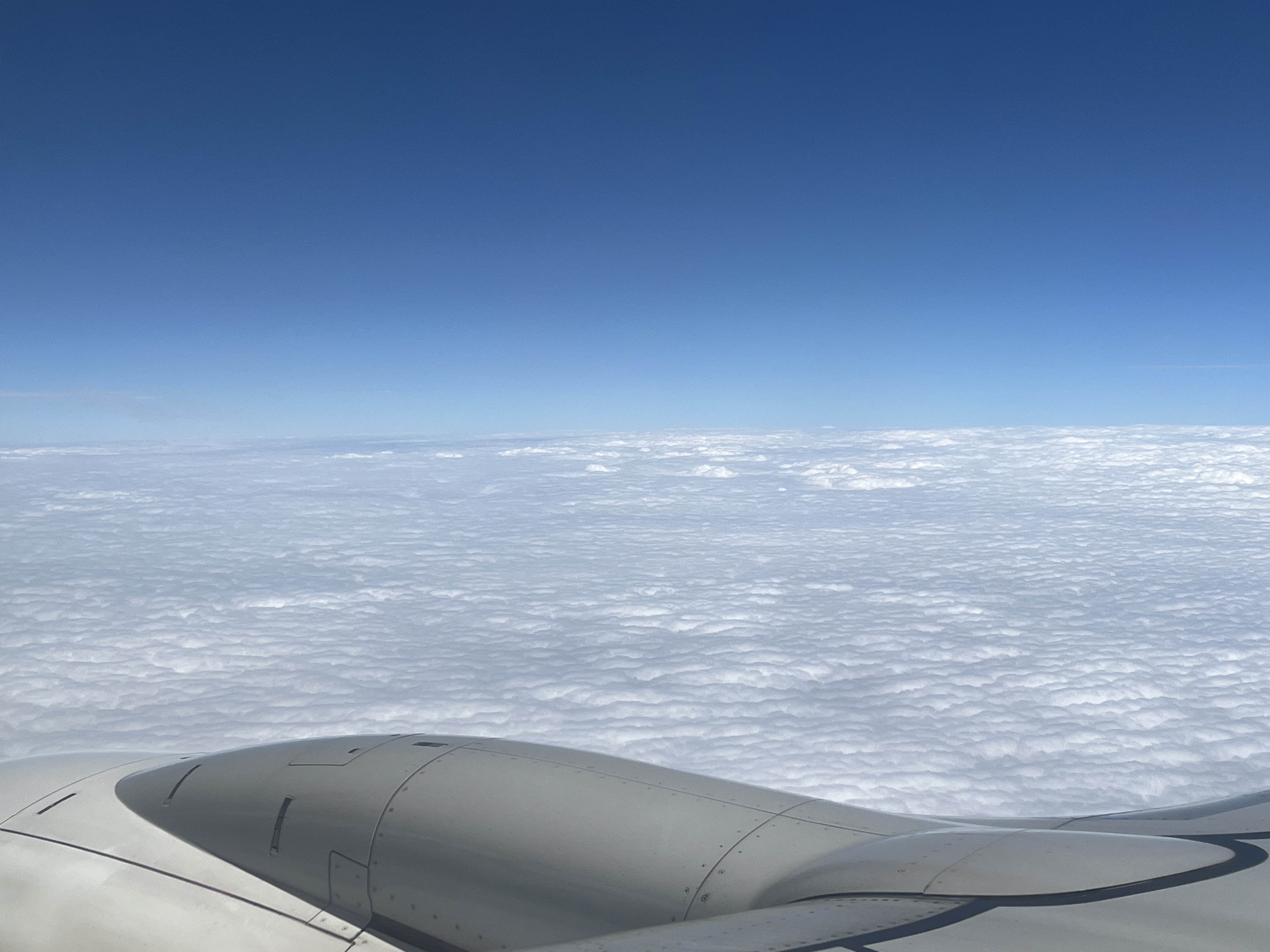 ZH9333人תת飬ɵԵ