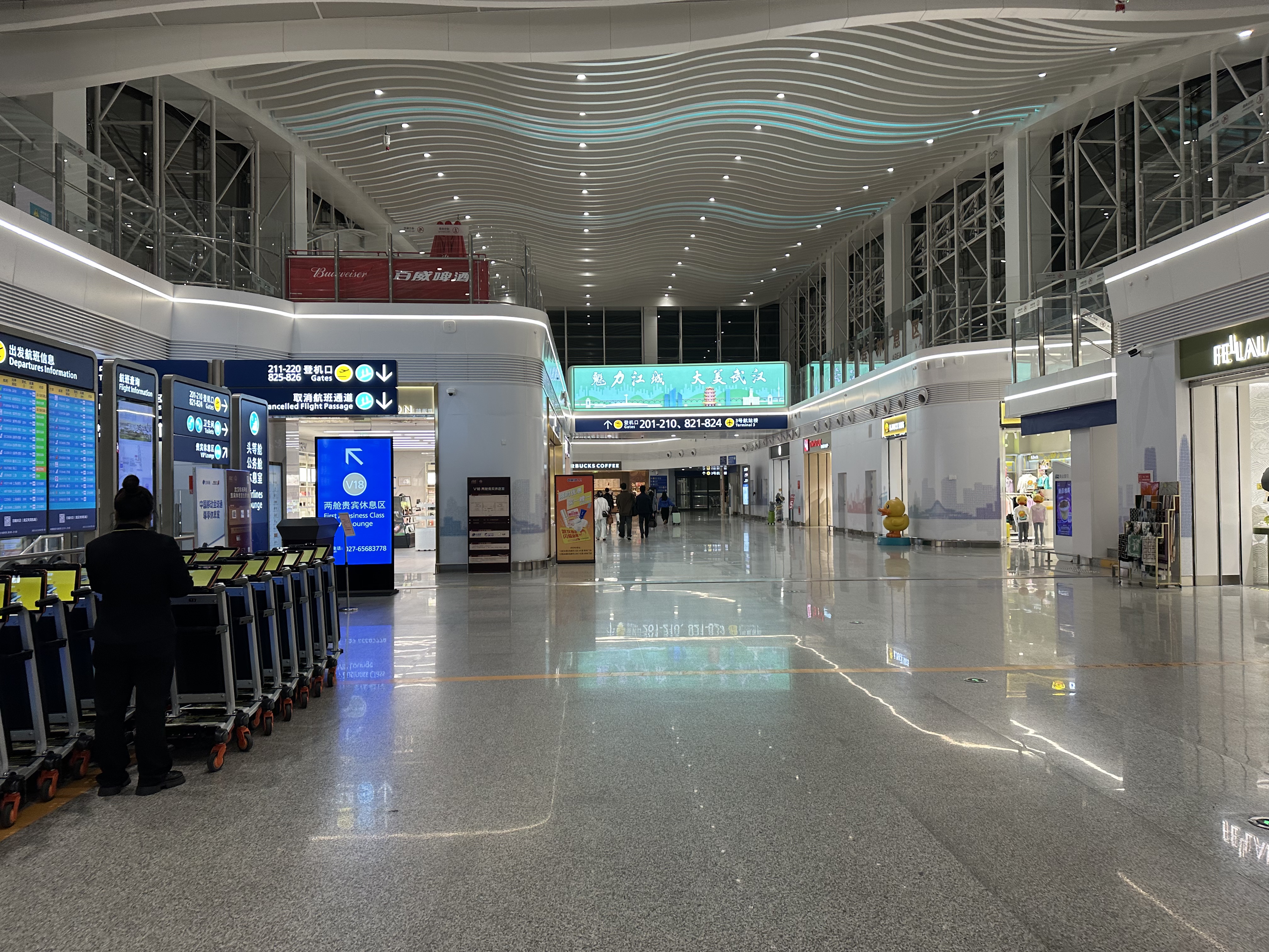 ӣ ·-HO1146(WUH-PVG)