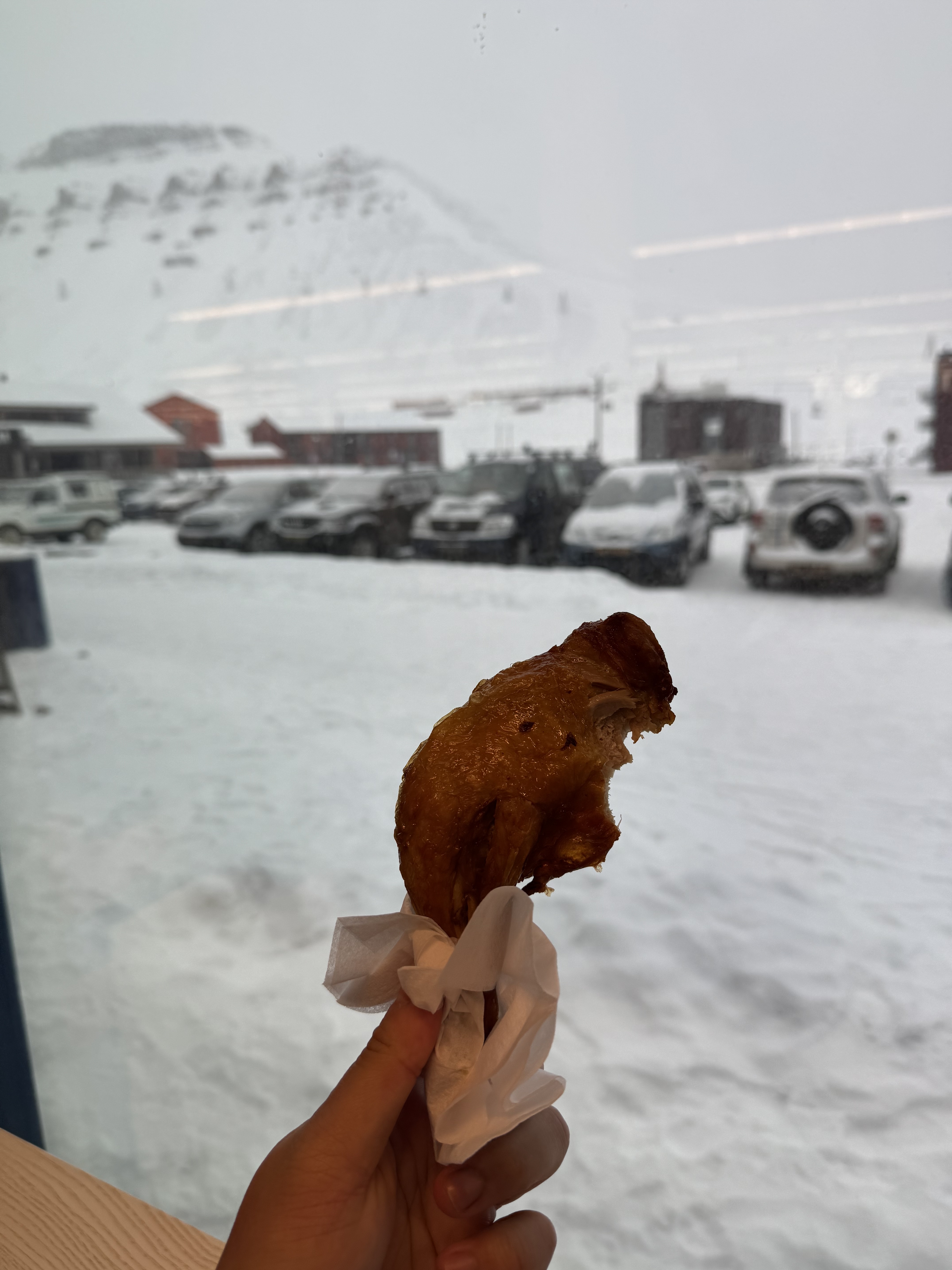 Go North! ŷհ˹½-ǣOSL-LYRòշб
