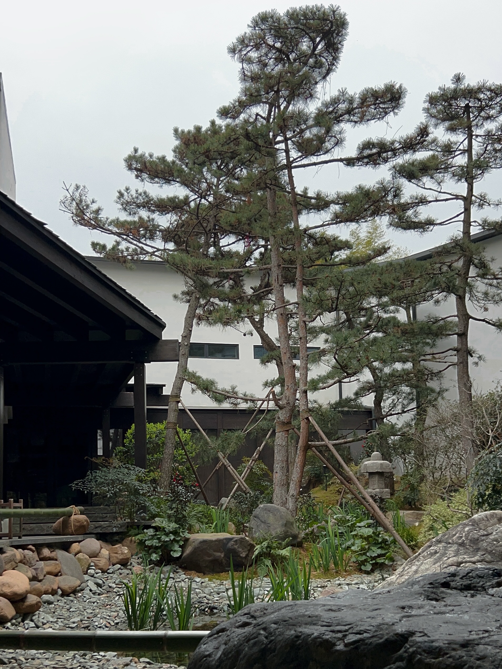 ֻΪϪɽãŴϪɽѡƵ Yada Xishan Hotel, UBC
