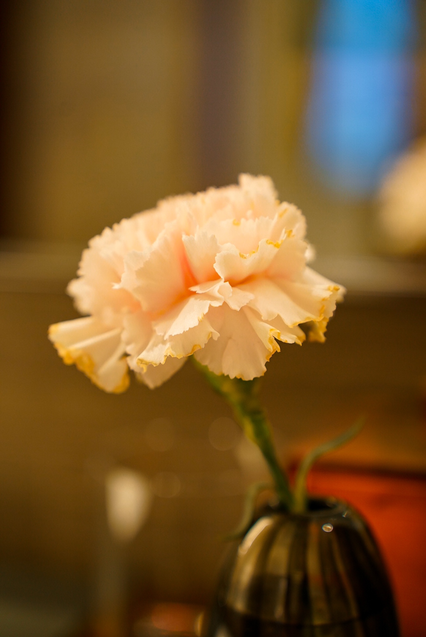 ~sؐƵ Park Hyatt New York׷