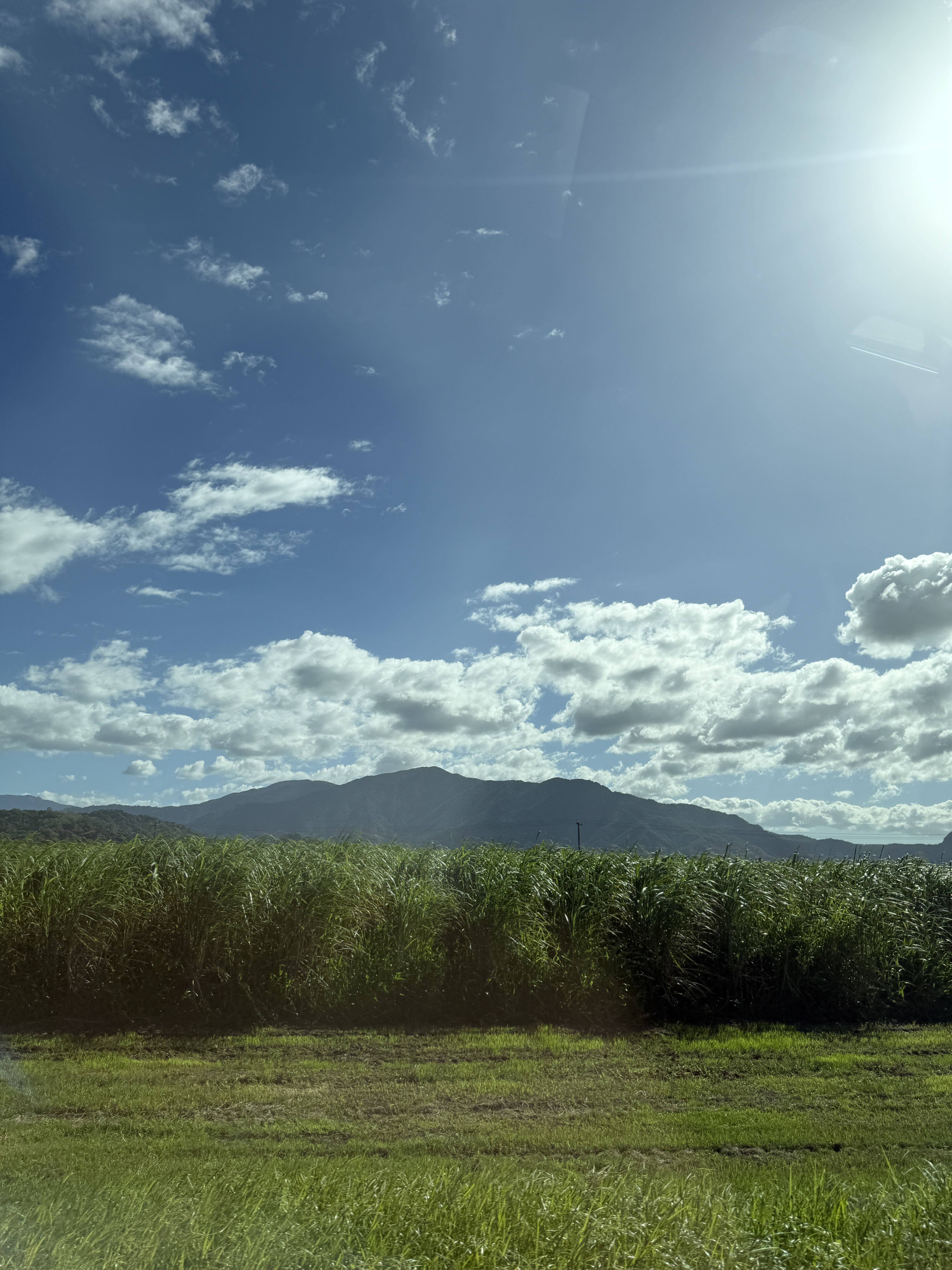˹ ϲǶȼپƵ걨Sheraton Grand Mirage Resort Port Douglas