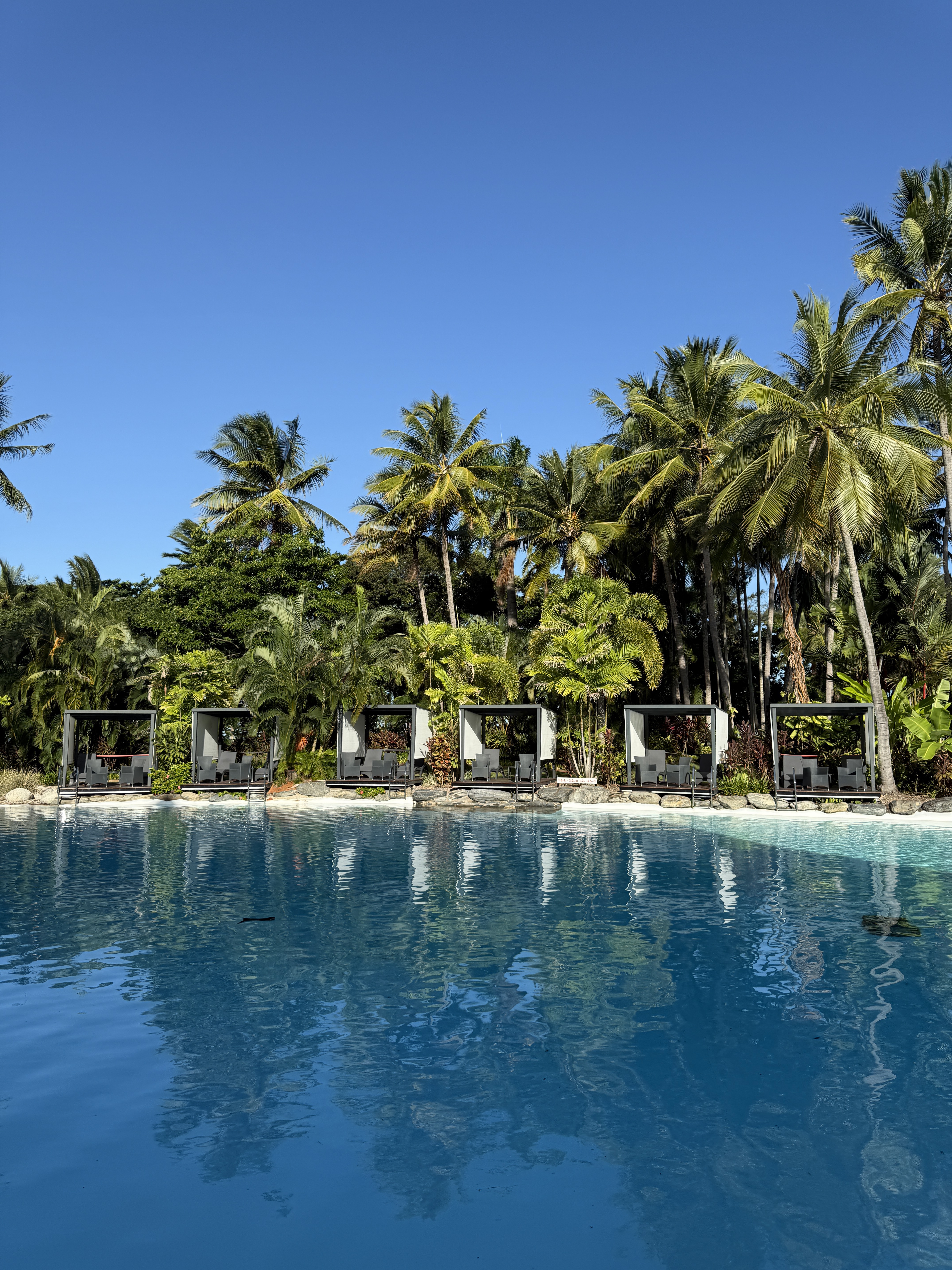 ˹ ϲǶȼپƵ걨Sheraton Grand Mirage Resort Port Douglas