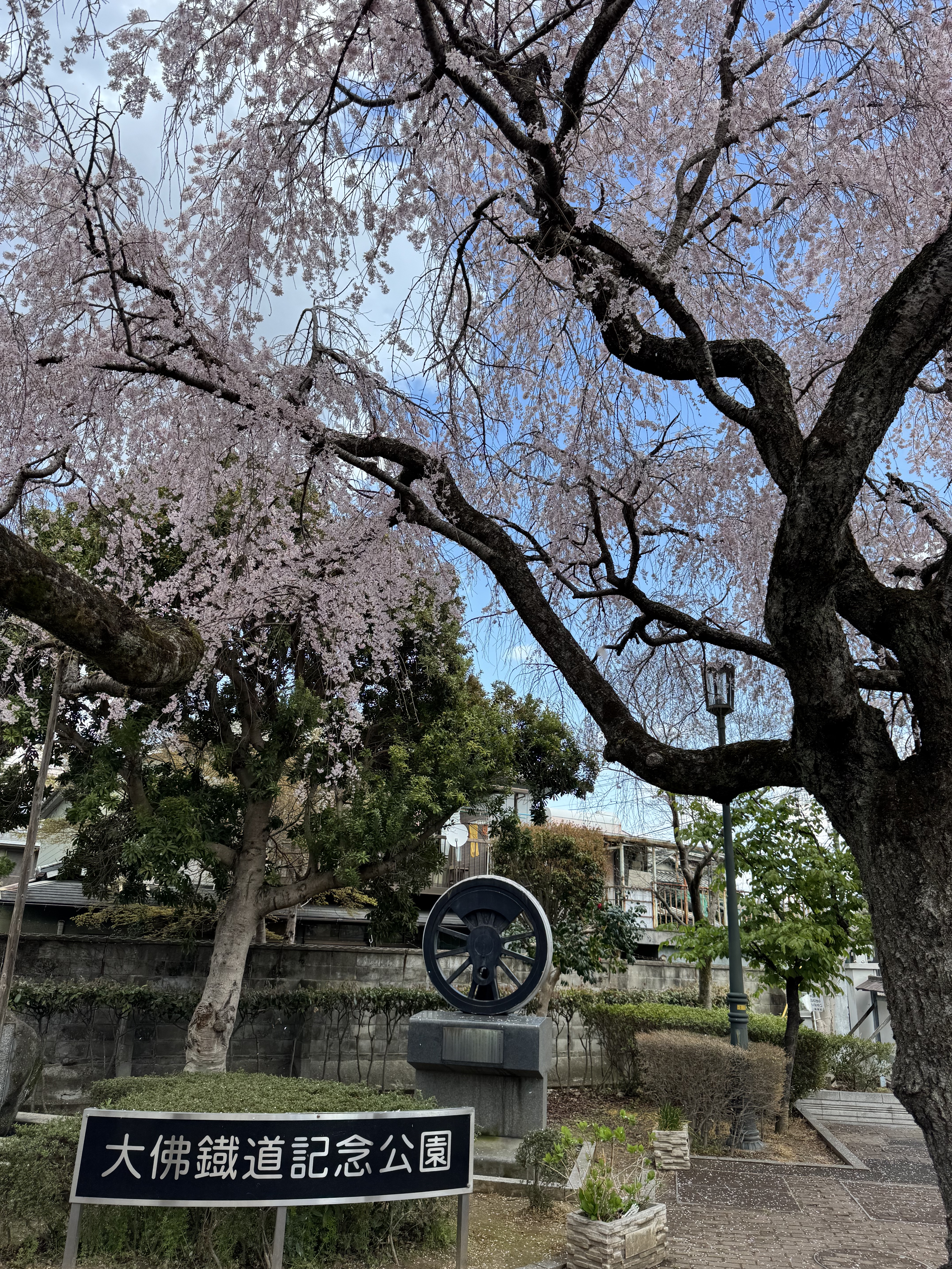 涼ϲǾƵ꣬