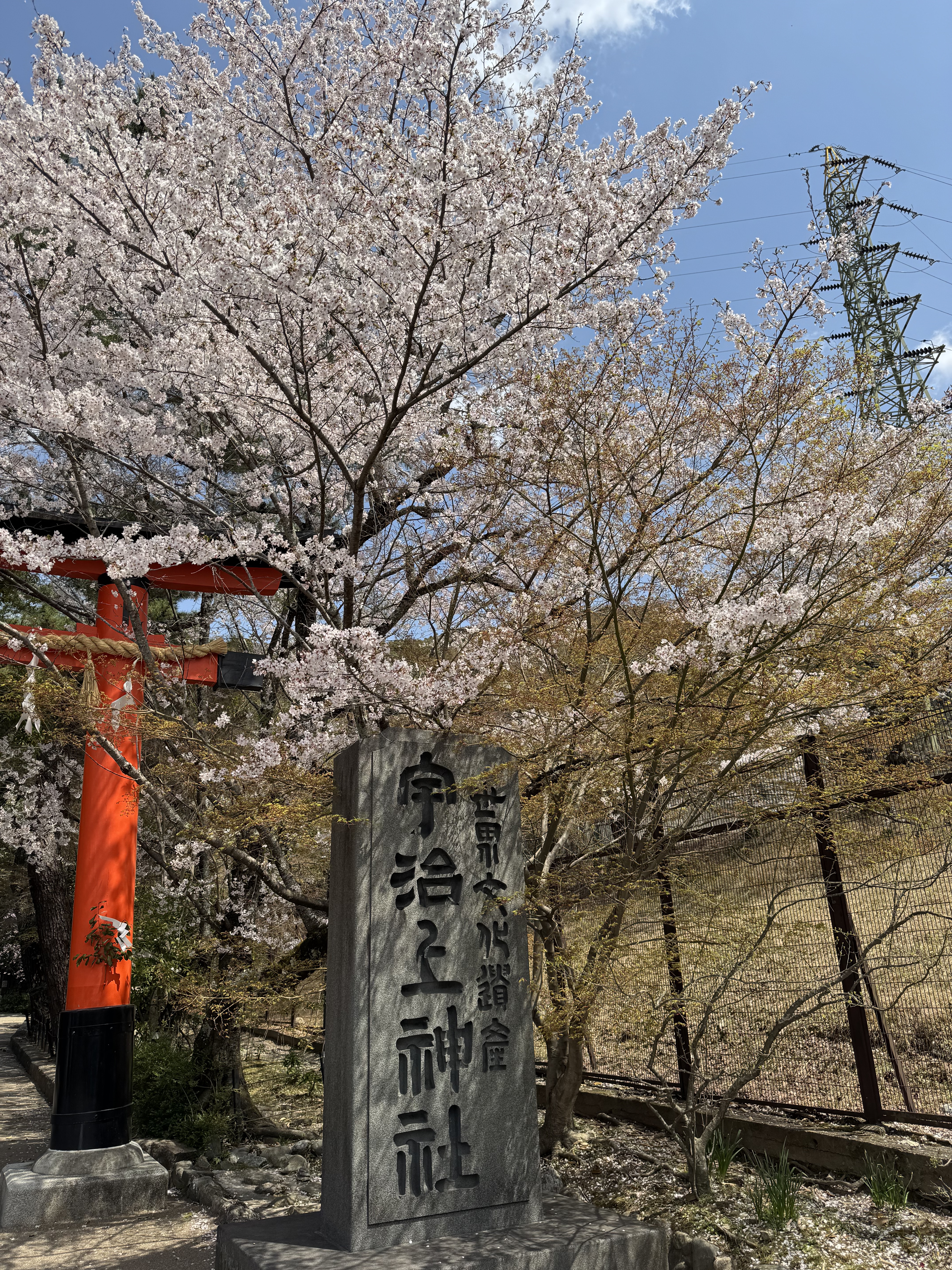涼ϲǾƵ꣬