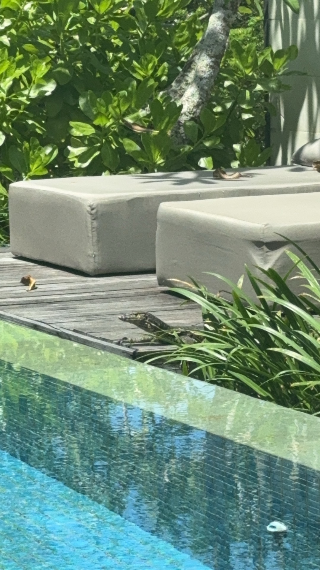 ϲ ʱԻ³ͼAlila Uluwatu