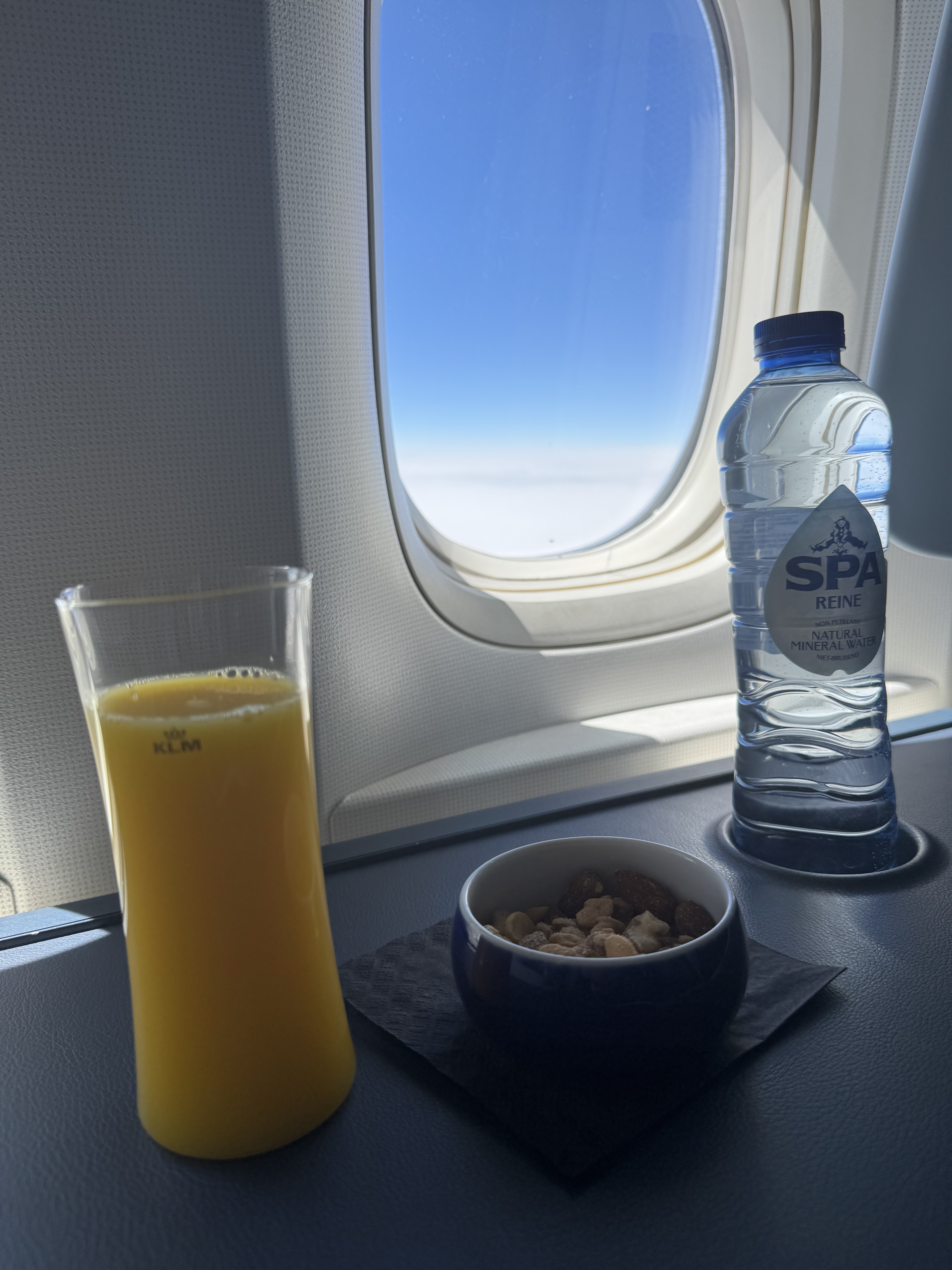 2025/3/23 PVG-AMS KL896