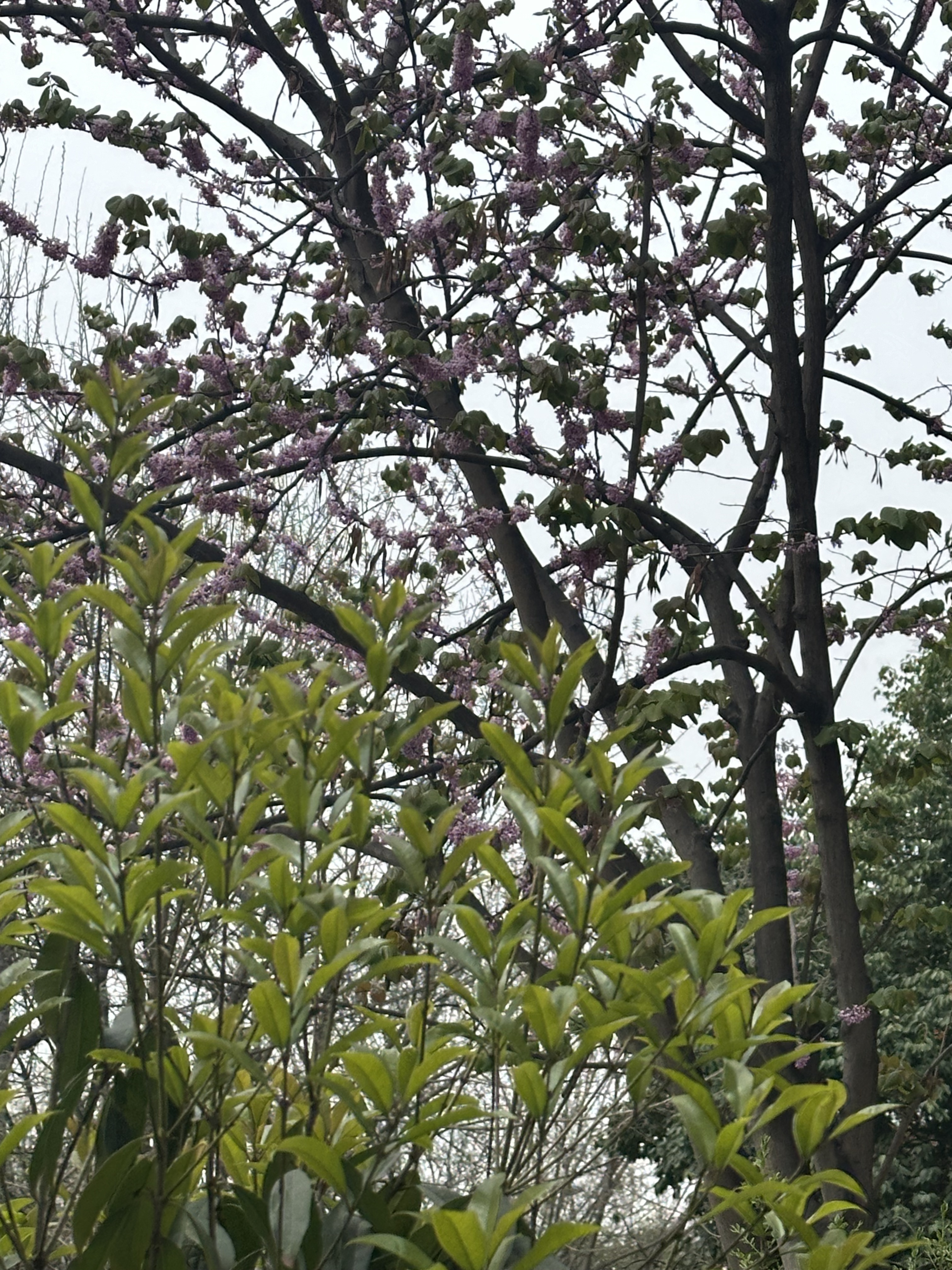 ϵԼ۱֮-͵¶Ƶ