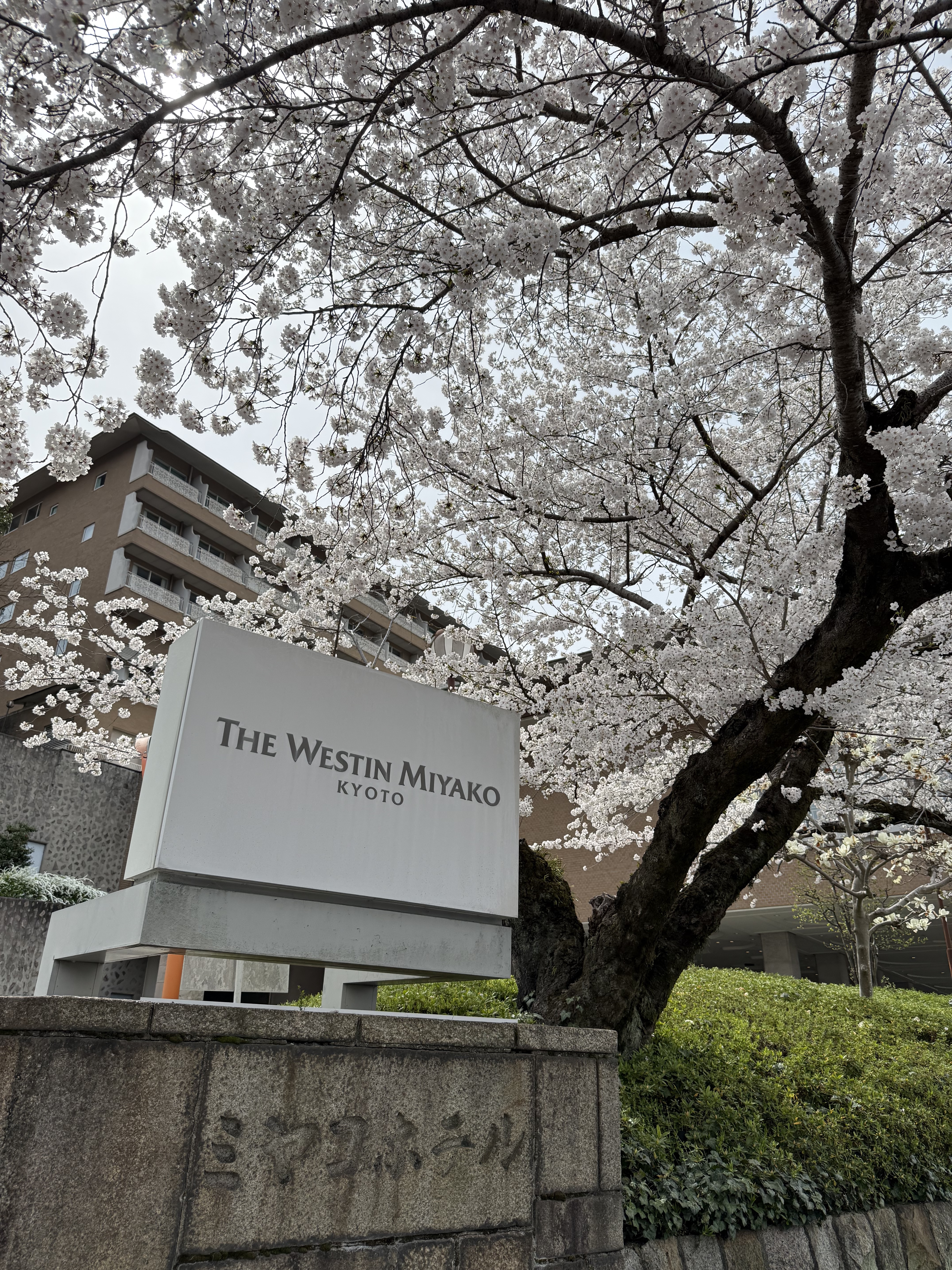 🇯🇵ˮ԰˹@The Westin Miyako Kyoto
