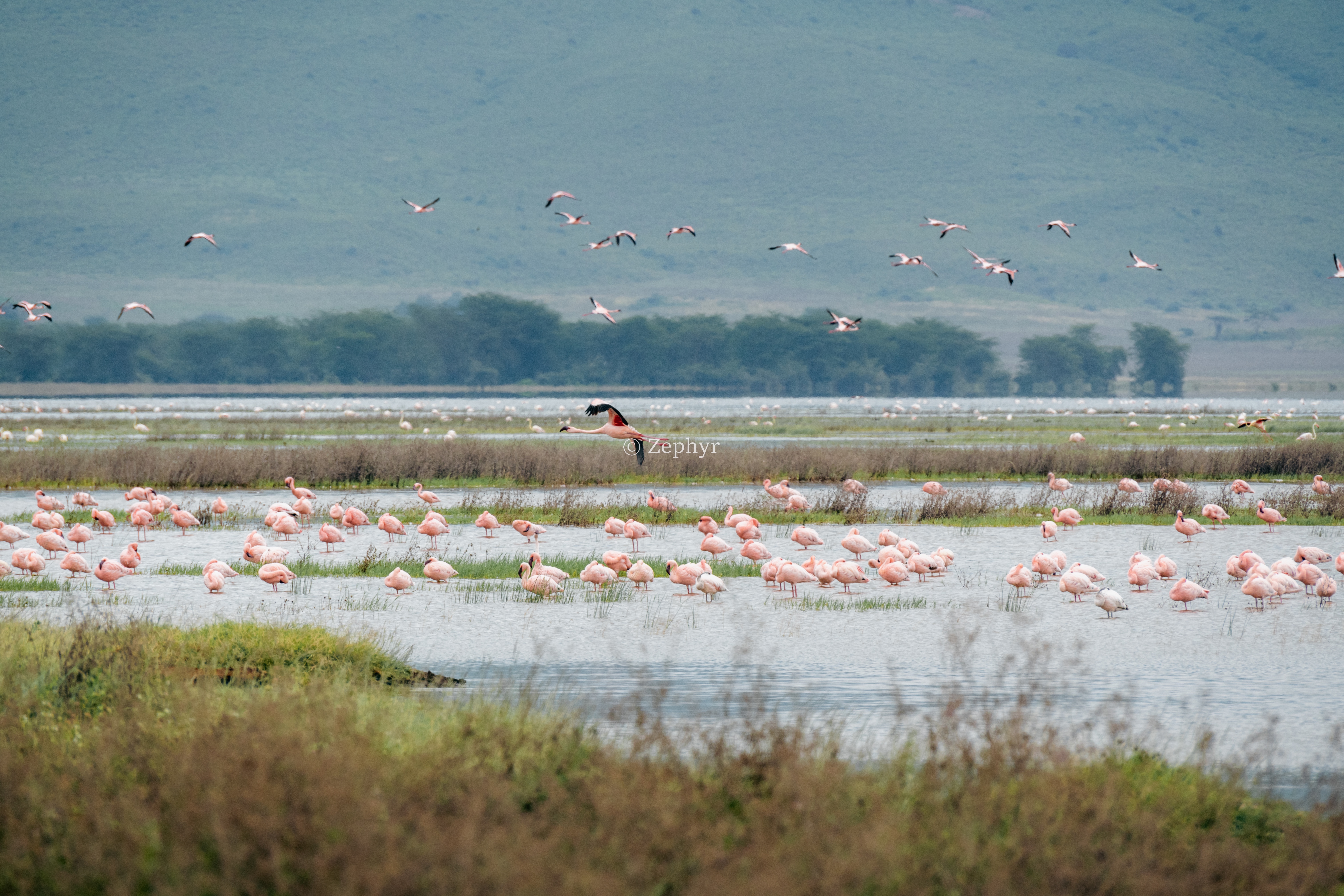 ̹ɣǶ޻ɽ۾Լ۱֮ѡSerena Safari Lodge NGORONGORO