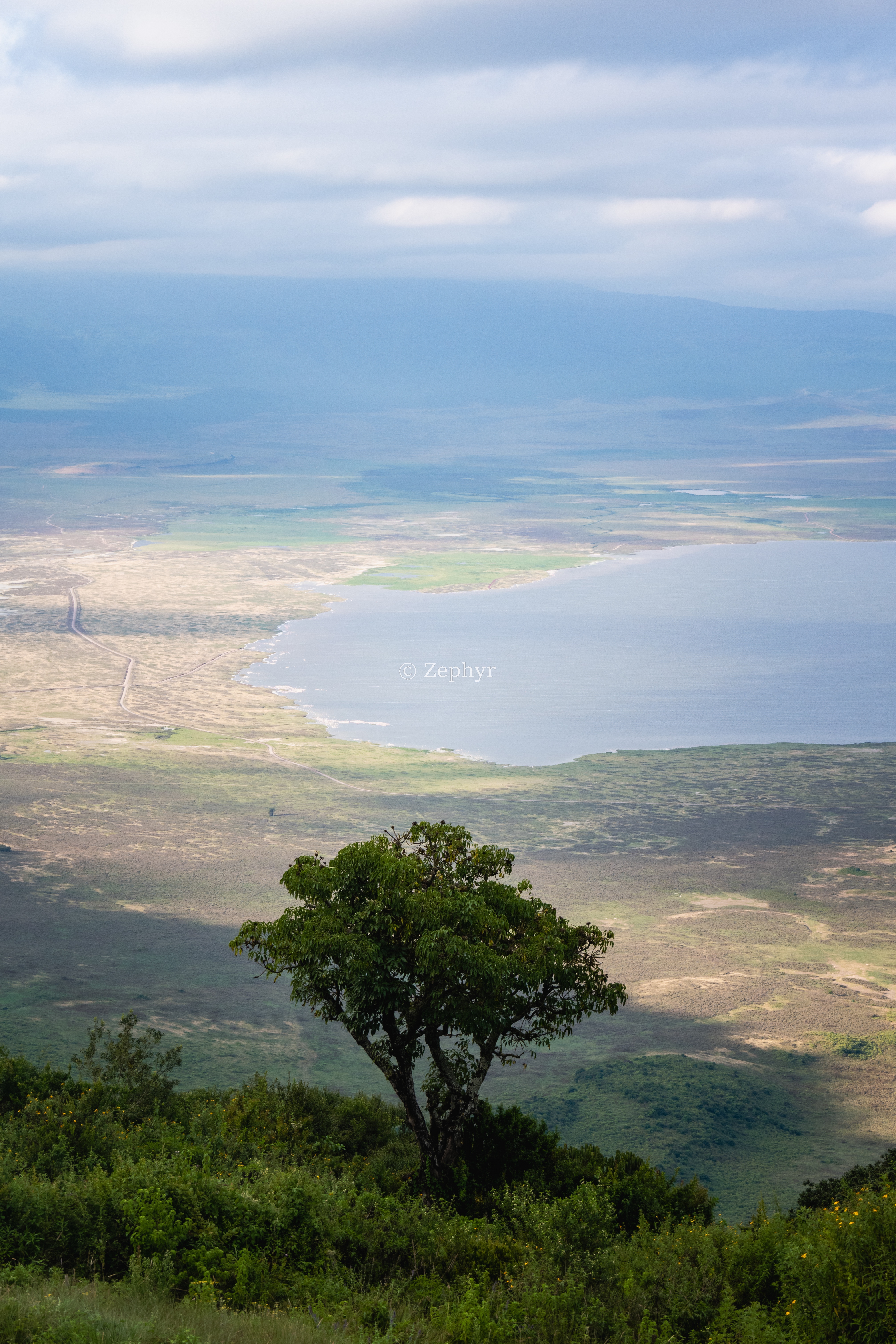 ̹ɣǶ޻ɽ۾Լ۱֮ѡSerena Safari Lodge NGORONGORO