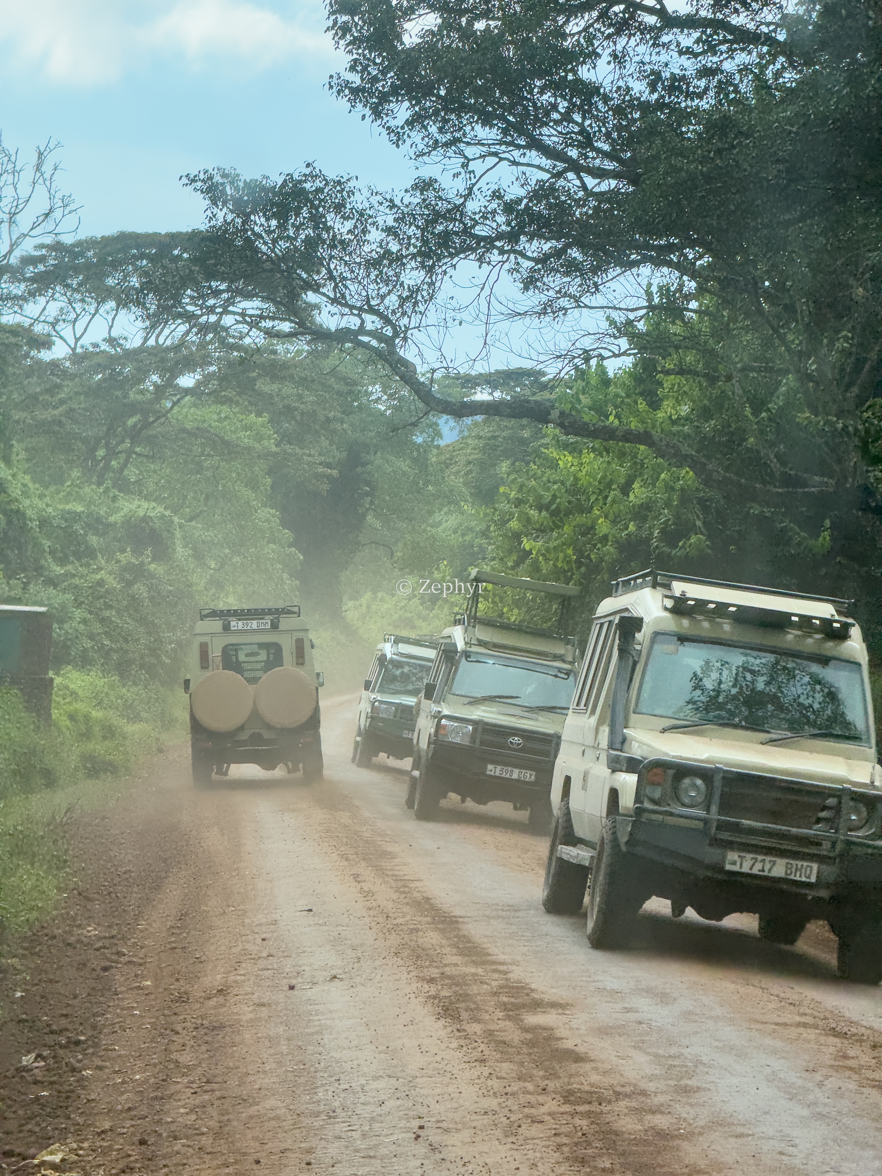 ̹ɣǶ޻ɽ۾Լ۱֮ѡSerena Safari Lodge NGORONGORO